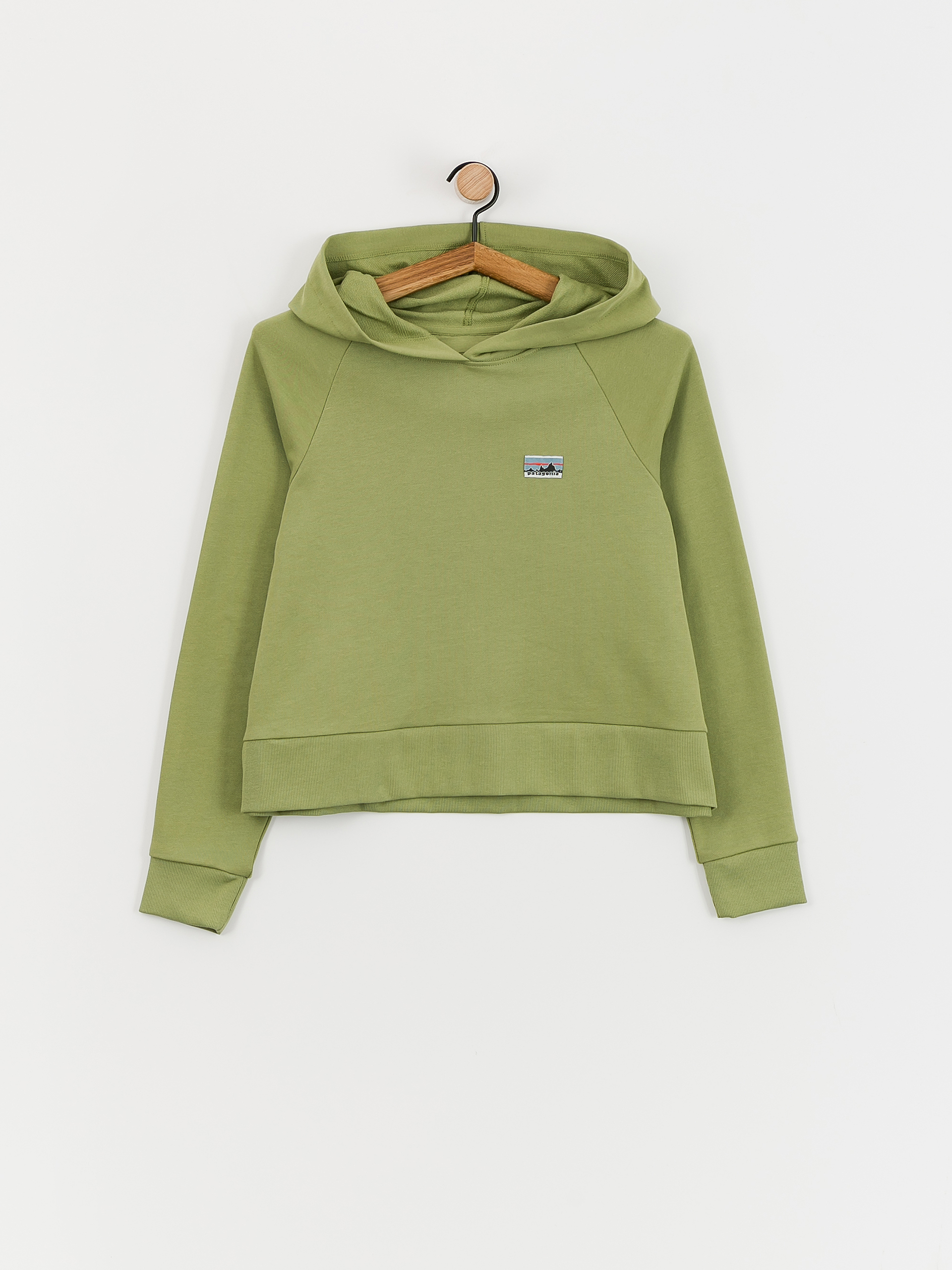 Bluza z kapturem Patagonia Regenerative Organic Certified Cotton Essential HD Wmn (buckhorn green)
