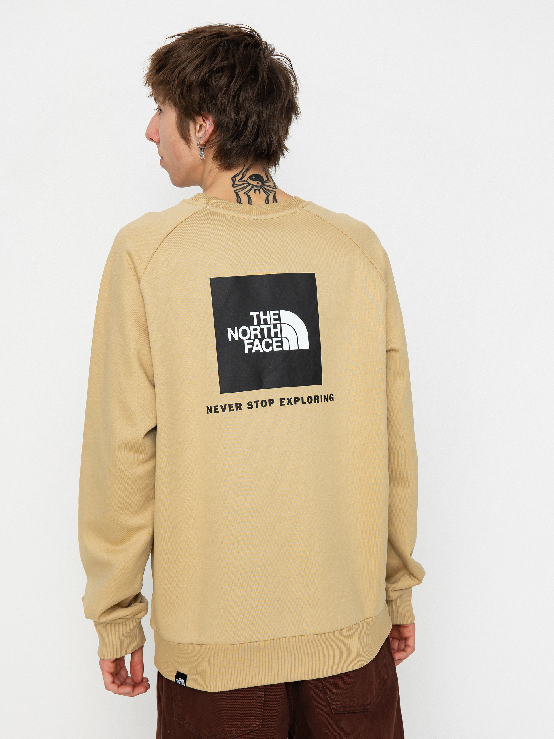 Bluza The North Face Raglan Redbox (khaki stone/tnf black)