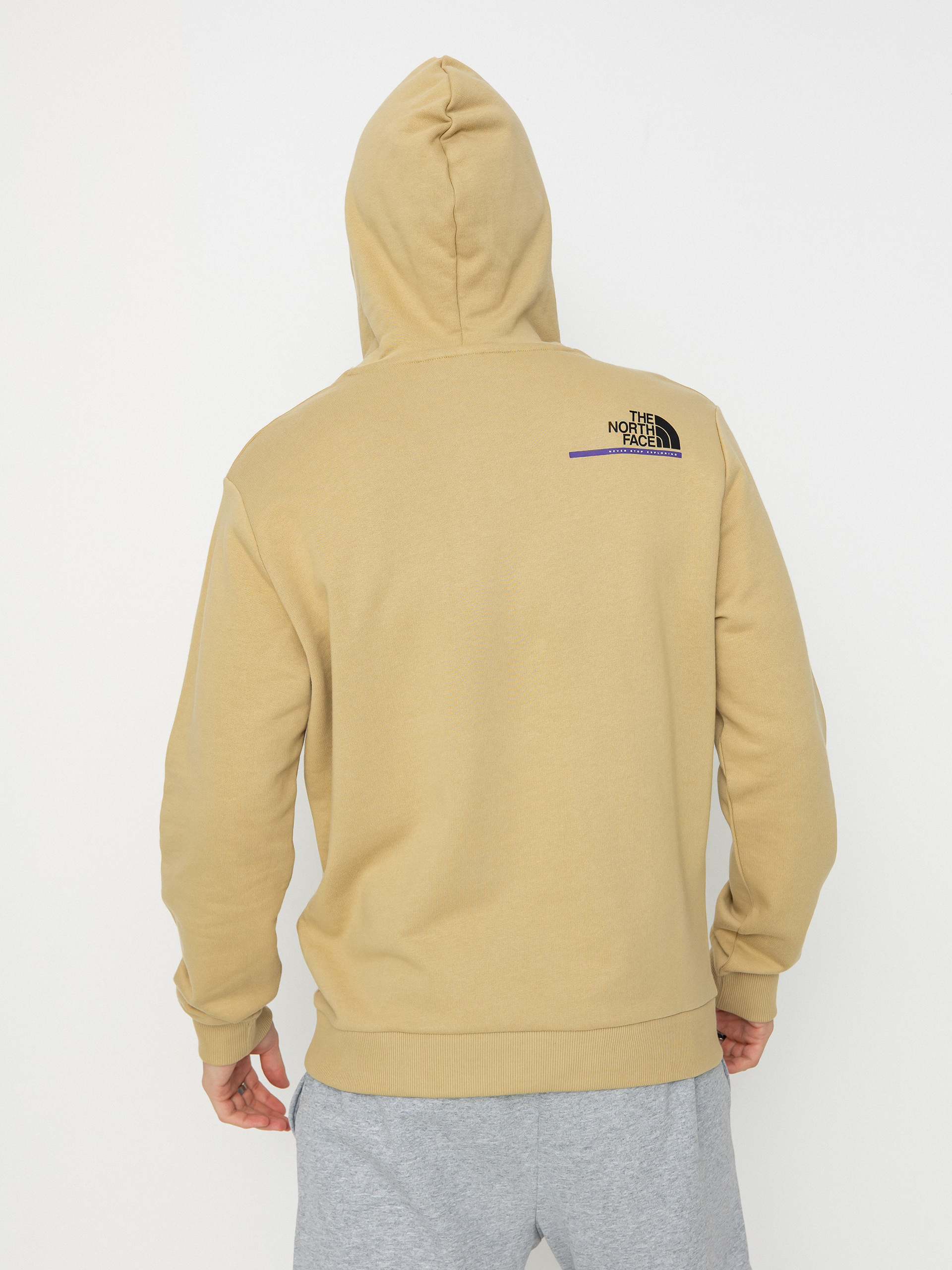 Bluza z kapturem The North Face Tnf Est 1966 HD (khaki stone)