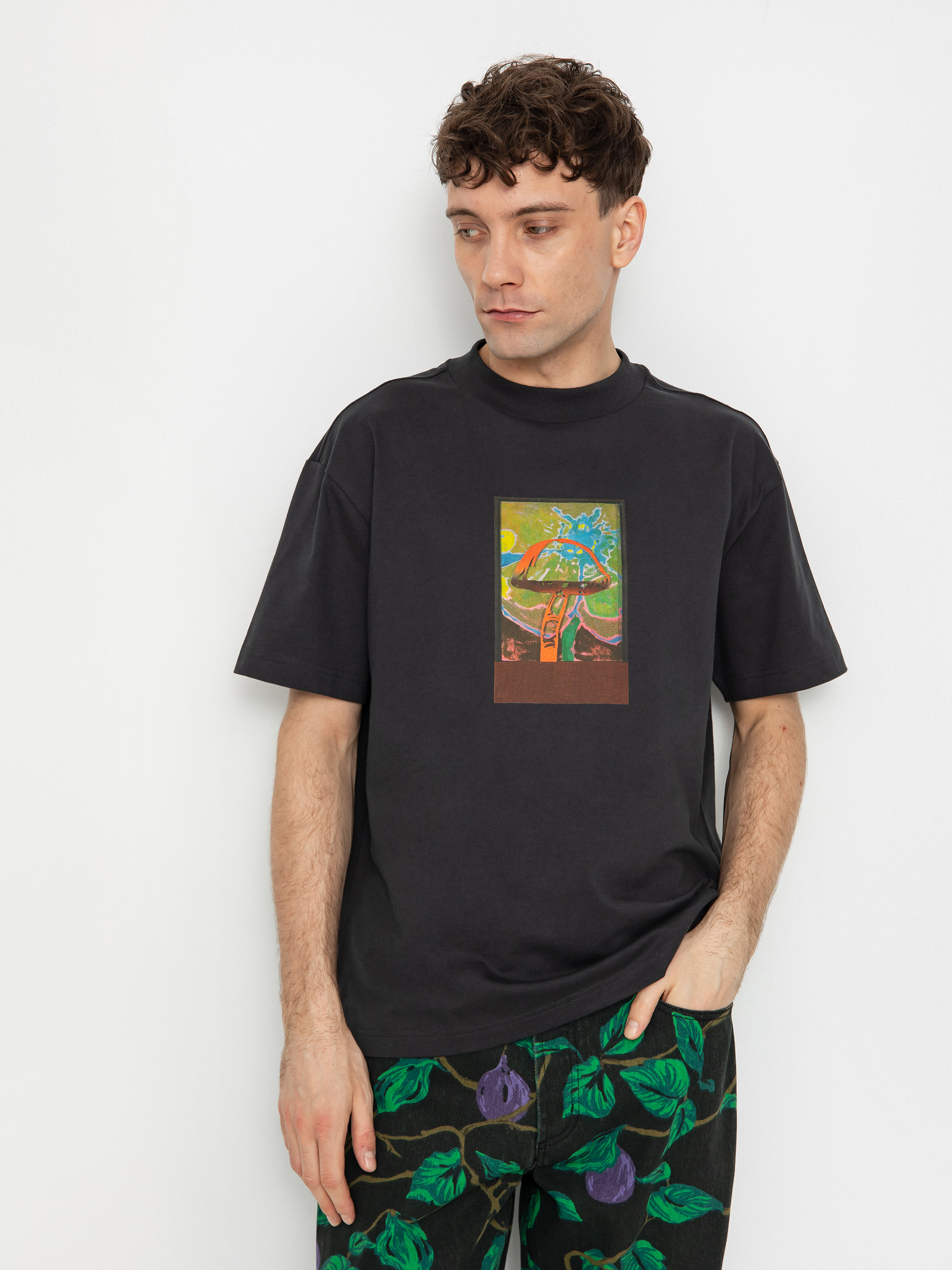 T-shirt RVCA Sage Shroom (washed black)