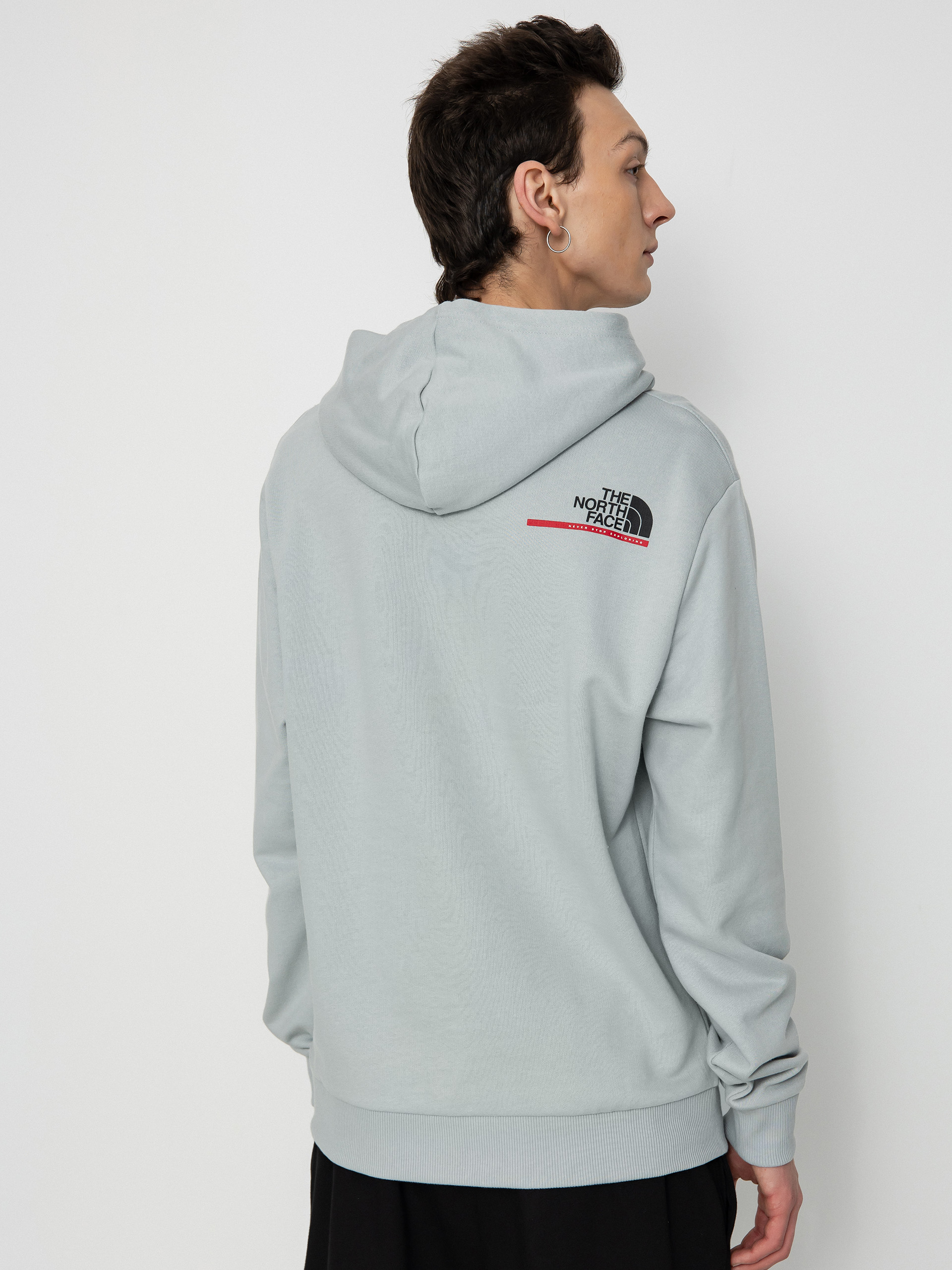 Bluza z kapturem The North Face Tnf Est 1966 HD (high rise grey)