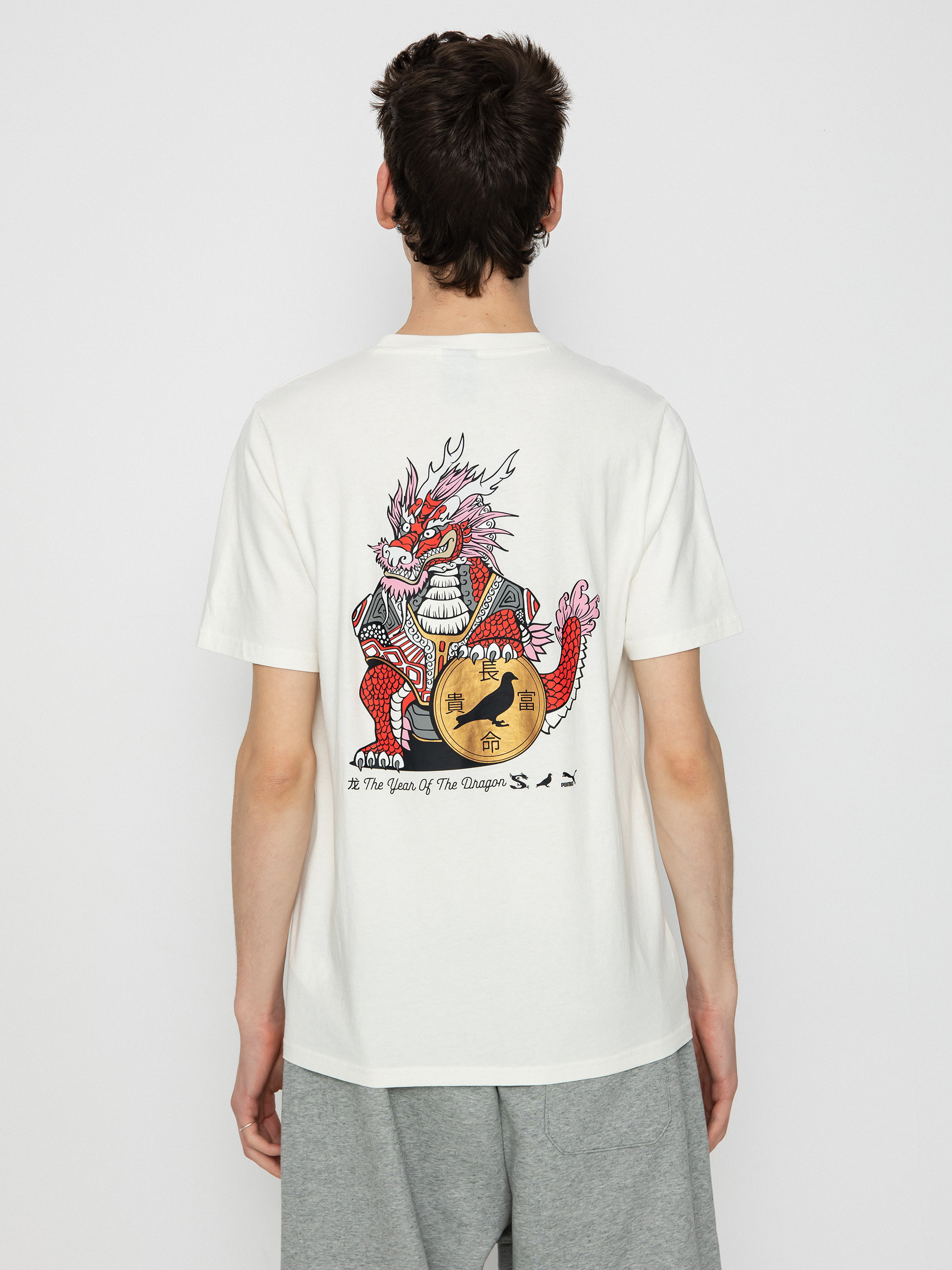 T-shirt Puma X Staple Graphic (white)
