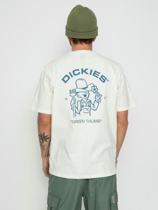 T-shirt Dickies Wakefield (cloud)