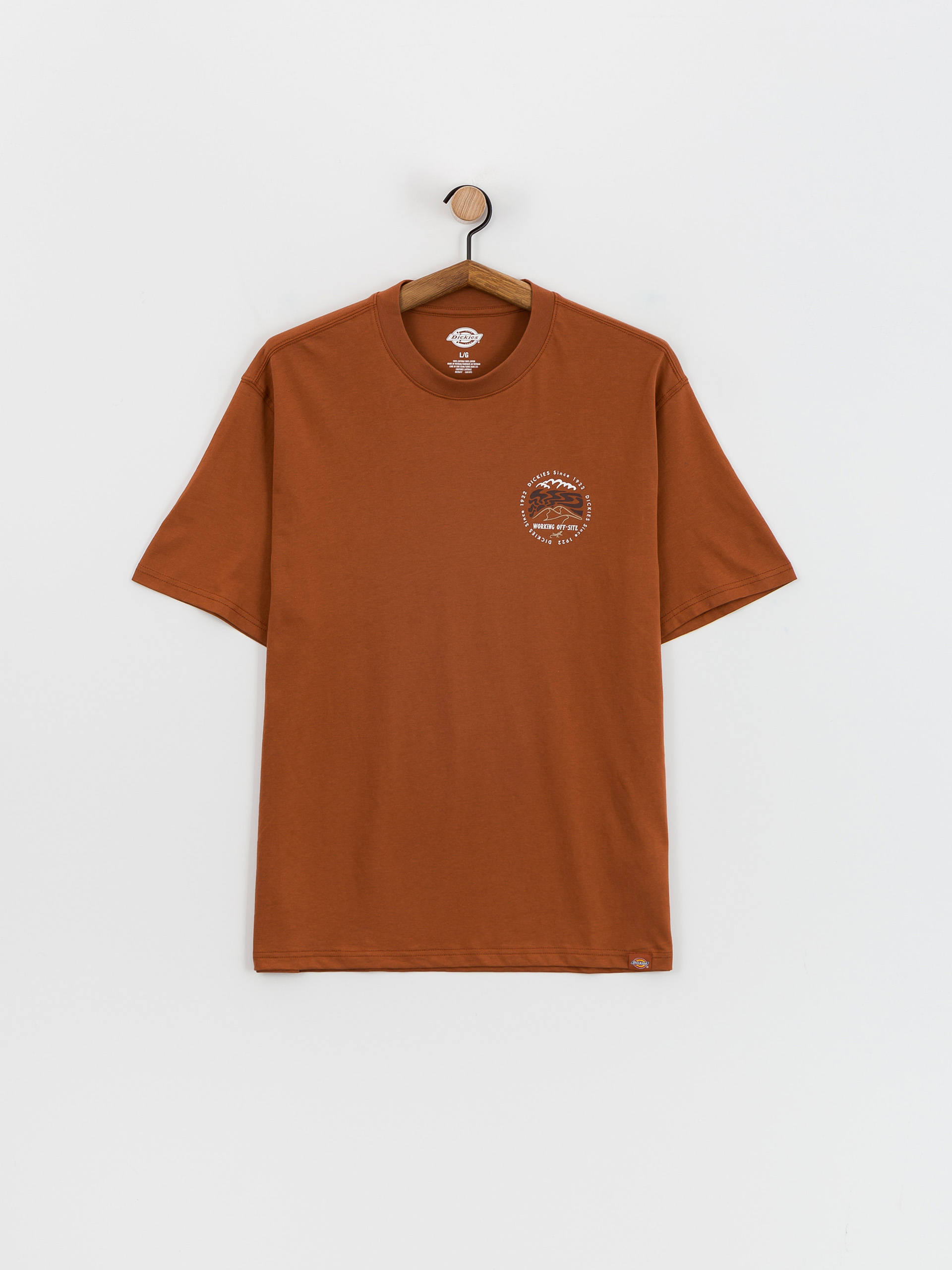 T-shirt Dickies Stanardsville (mocha bisque)