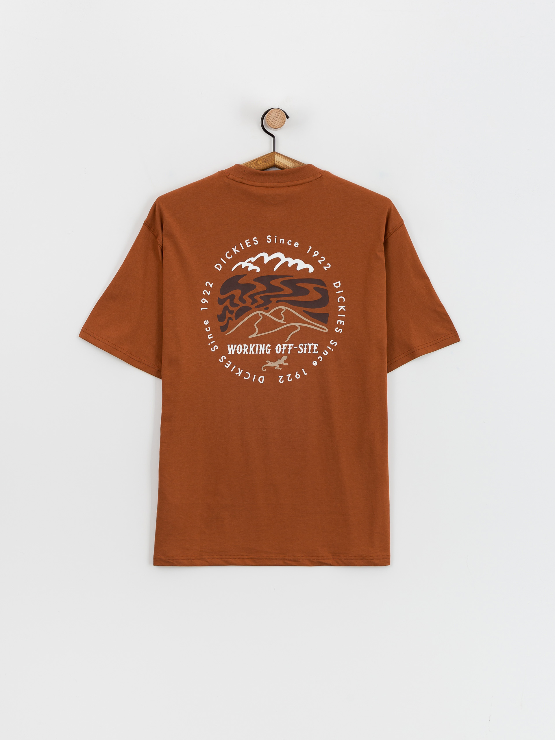 T-shirt Dickies Stanardsville (mocha bisque)