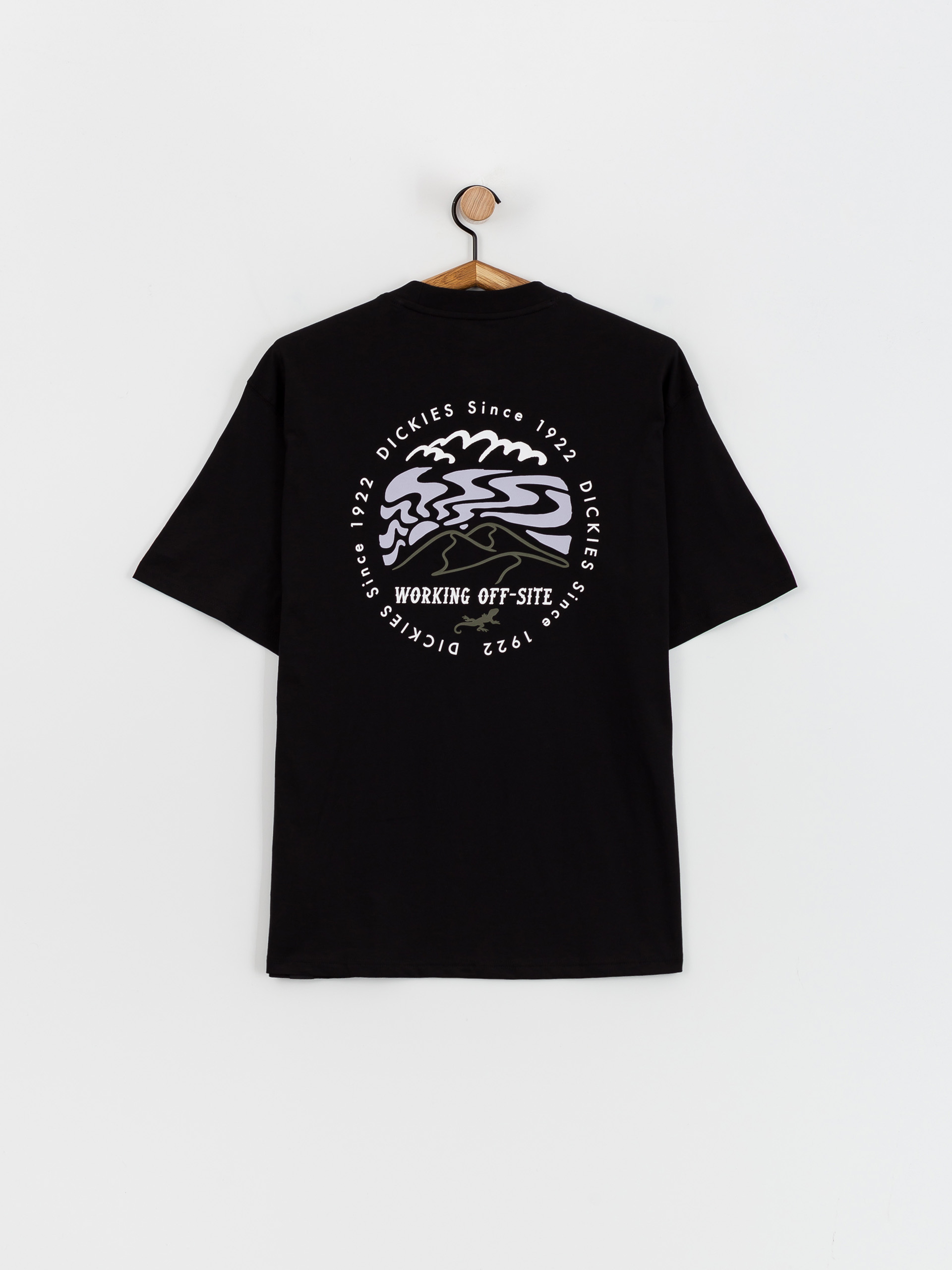 T-shirt Dickies Stanardsville (black)