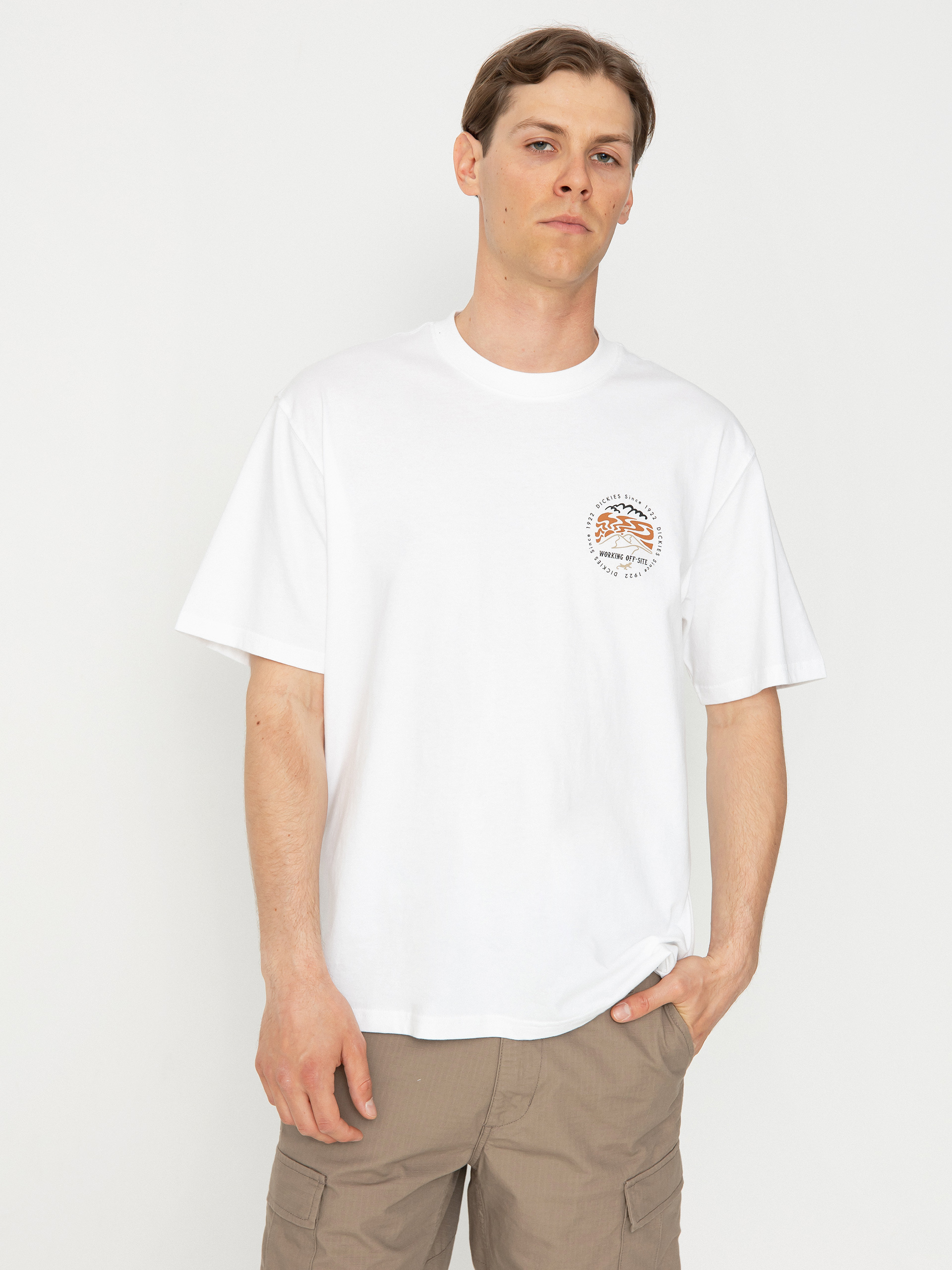 T-shirt Dickies Stanardsville (white)