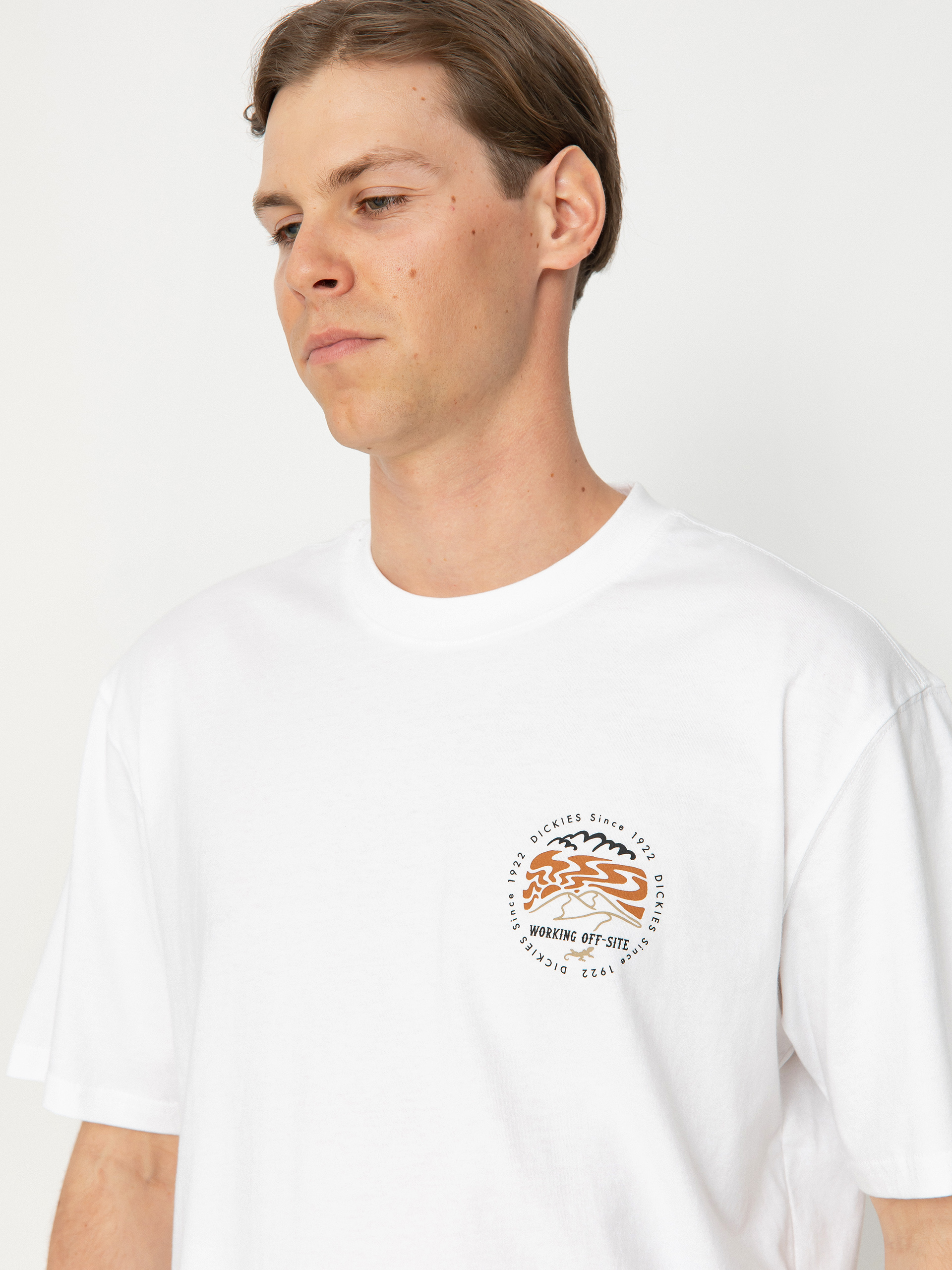 T-shirt Dickies Stanardsville (white)