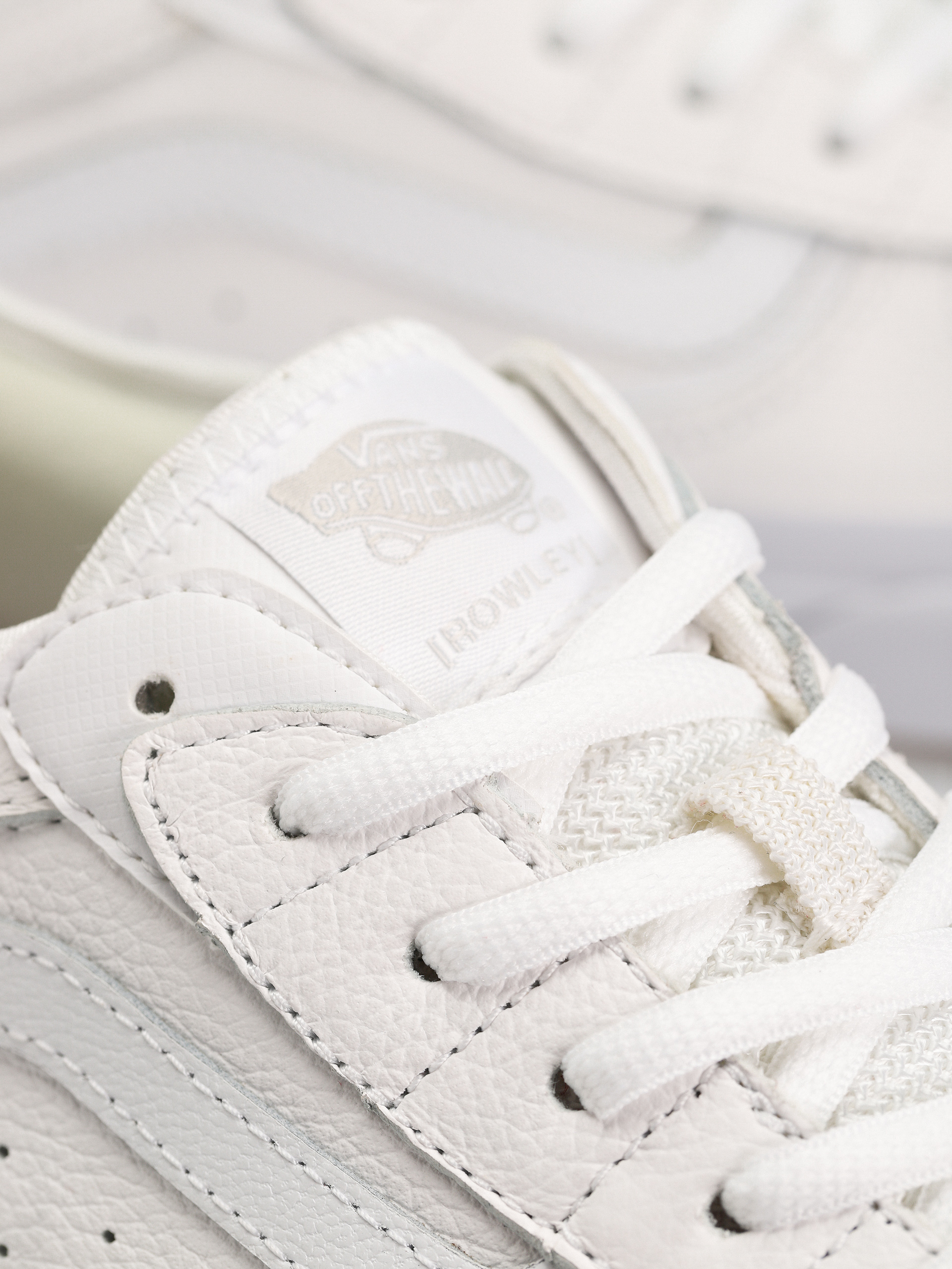 Buty Vans Skate Rowley (leather white/white)