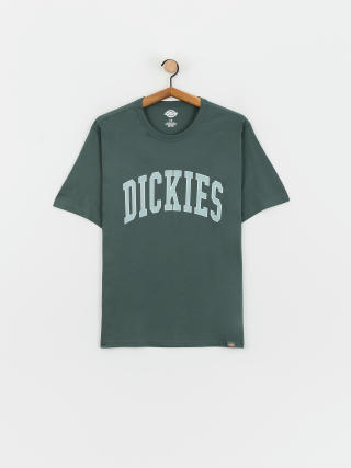 T-shirt Dickies Aitkin (lncn grn/srf bl)
