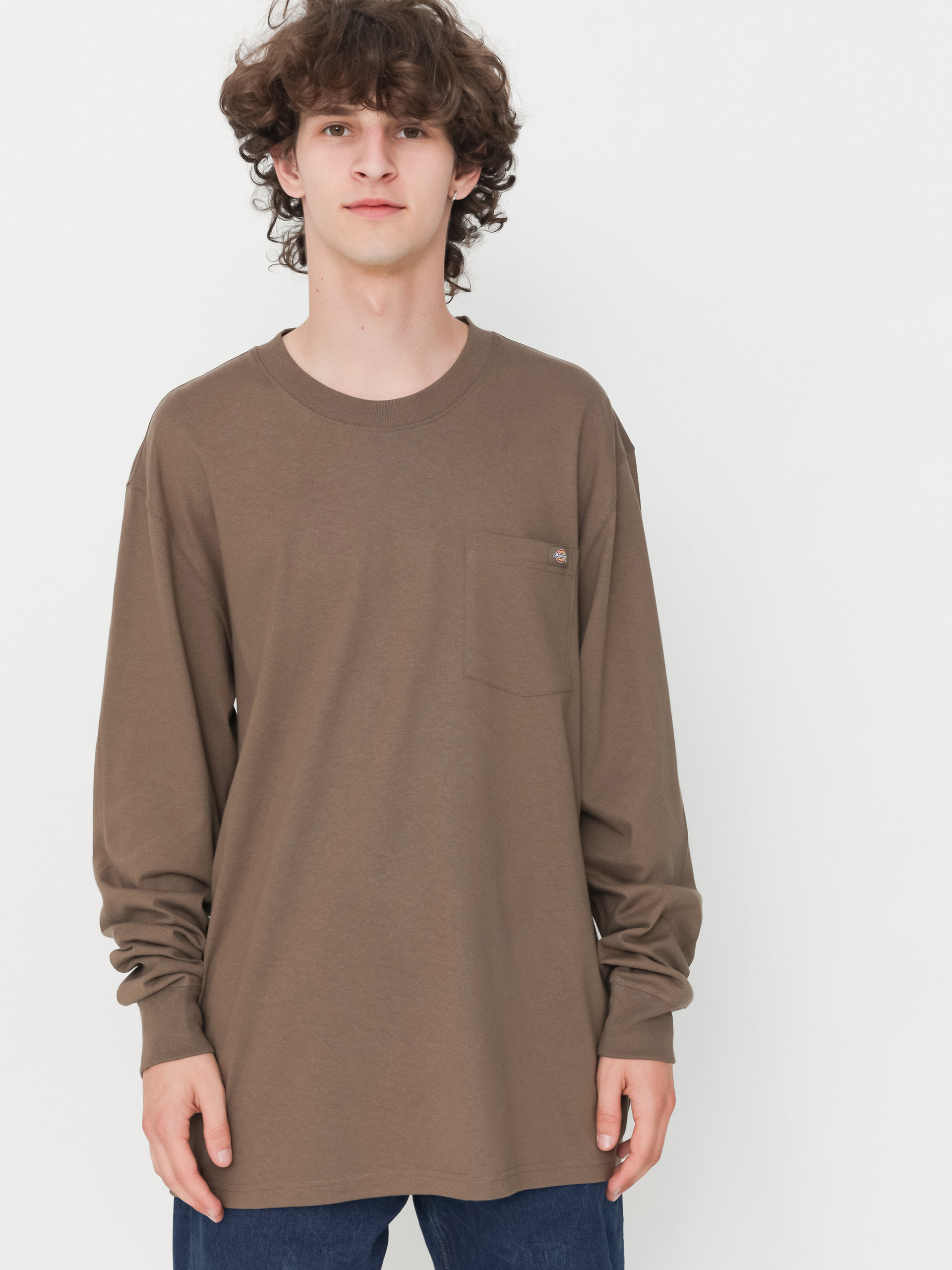 Longsleeve Dickies Luray Pocket (mushroom)