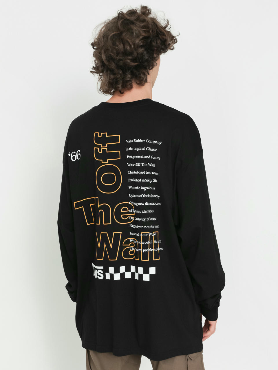 Longsleeve Vans Posted (black)