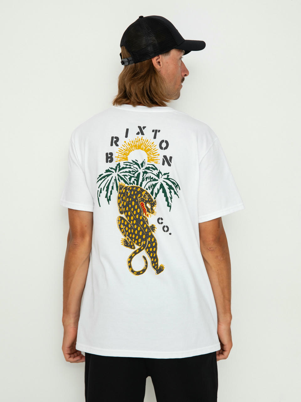 T-shirt Brixton Seeks Stt (white)