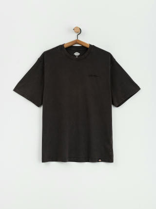 T-shirt Dickies Plentywood (dble dye/acd bl)