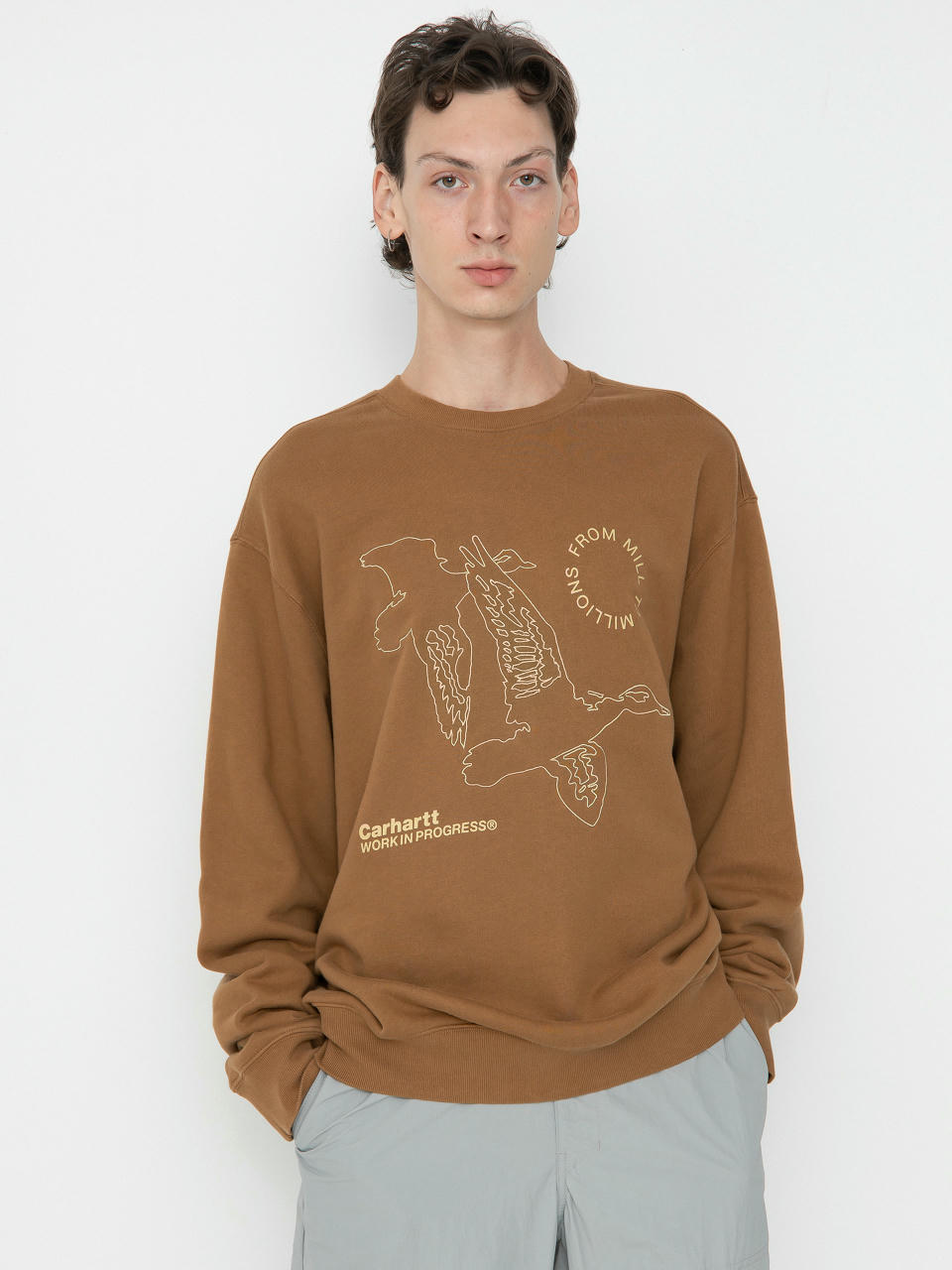 Bluza Carhartt WIP Flying Ducks (hamilton brown)