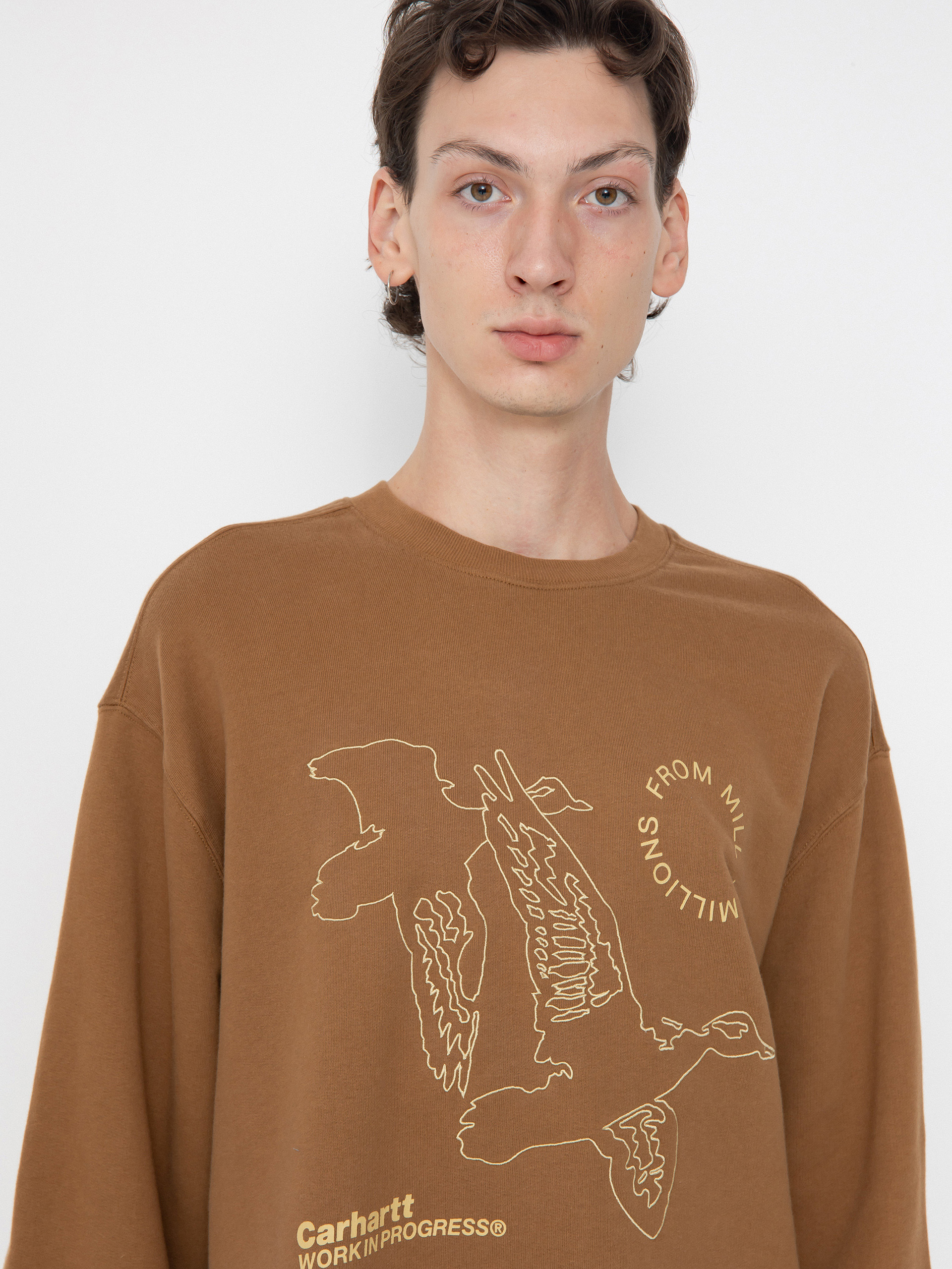 Bluza Carhartt WIP Flying Ducks (hamilton brown)