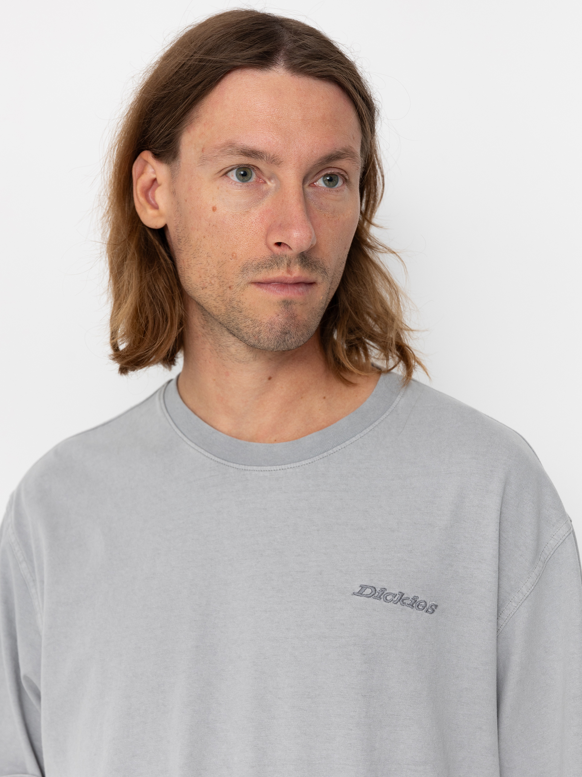 T-shirt Dickies Plentywood (ultimate gray)
