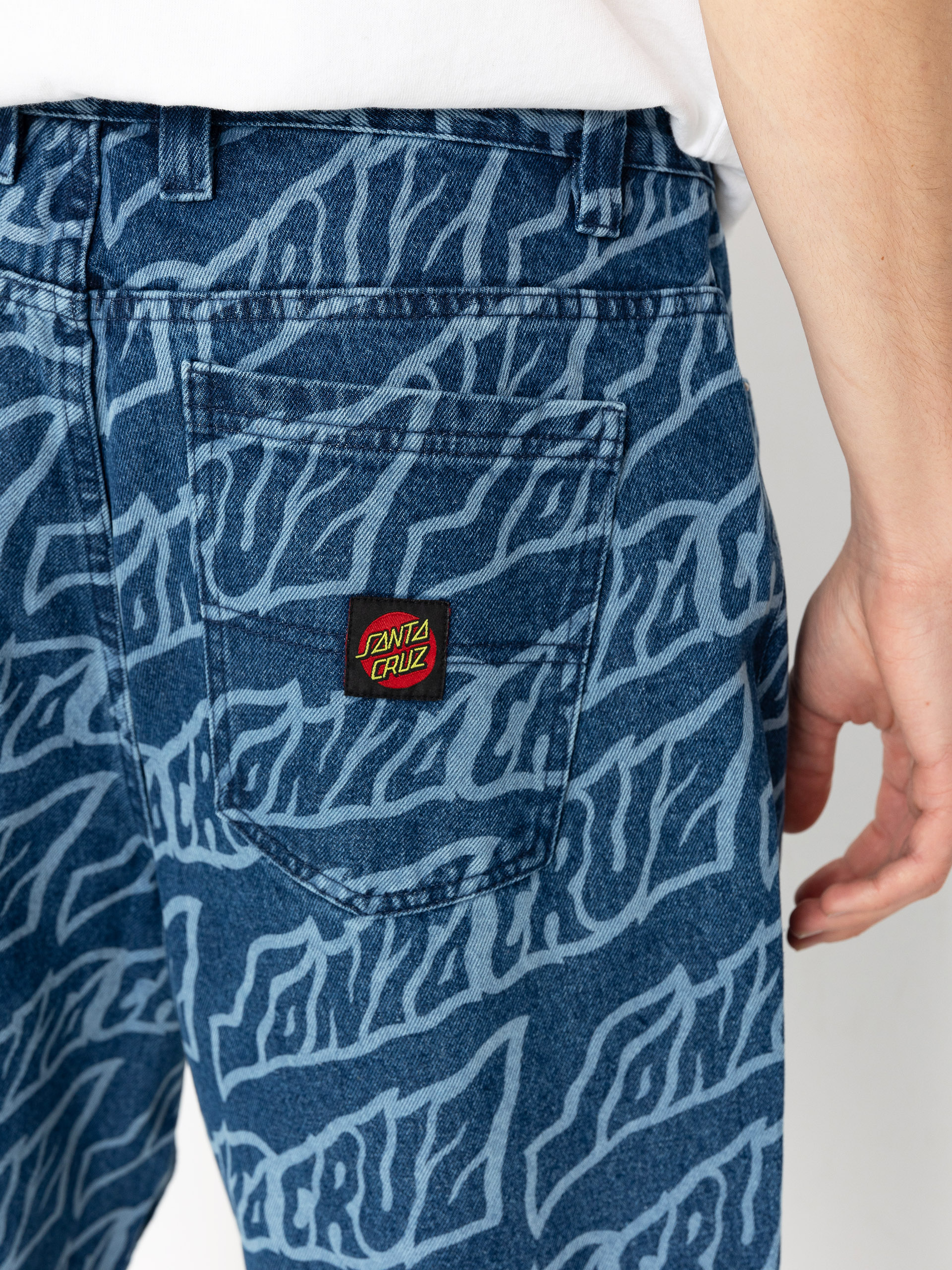 Spodnie Santa Cruz Big Pants (creep repeat)