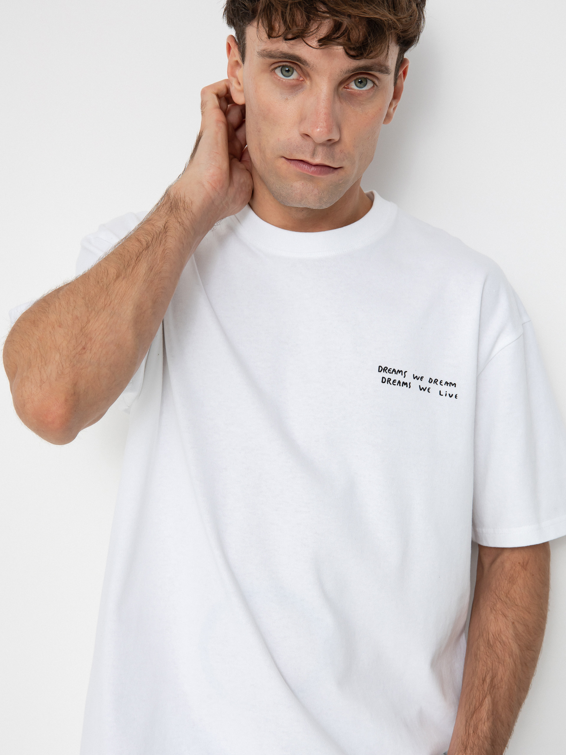 T-shirt Polar Skate Dreams We Dream (white)