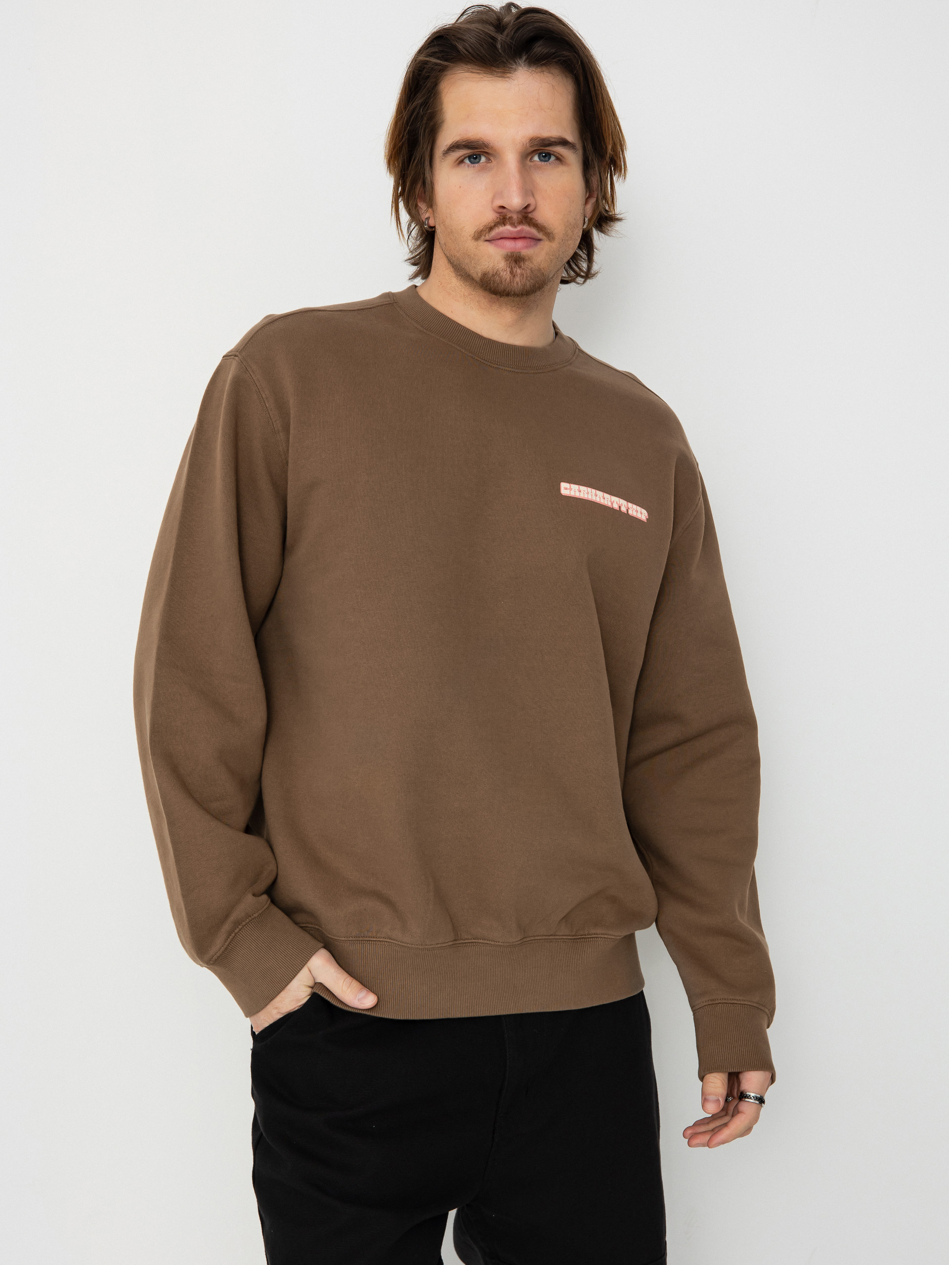Bluza Carhartt WIP Greatest Flicks (coconut)