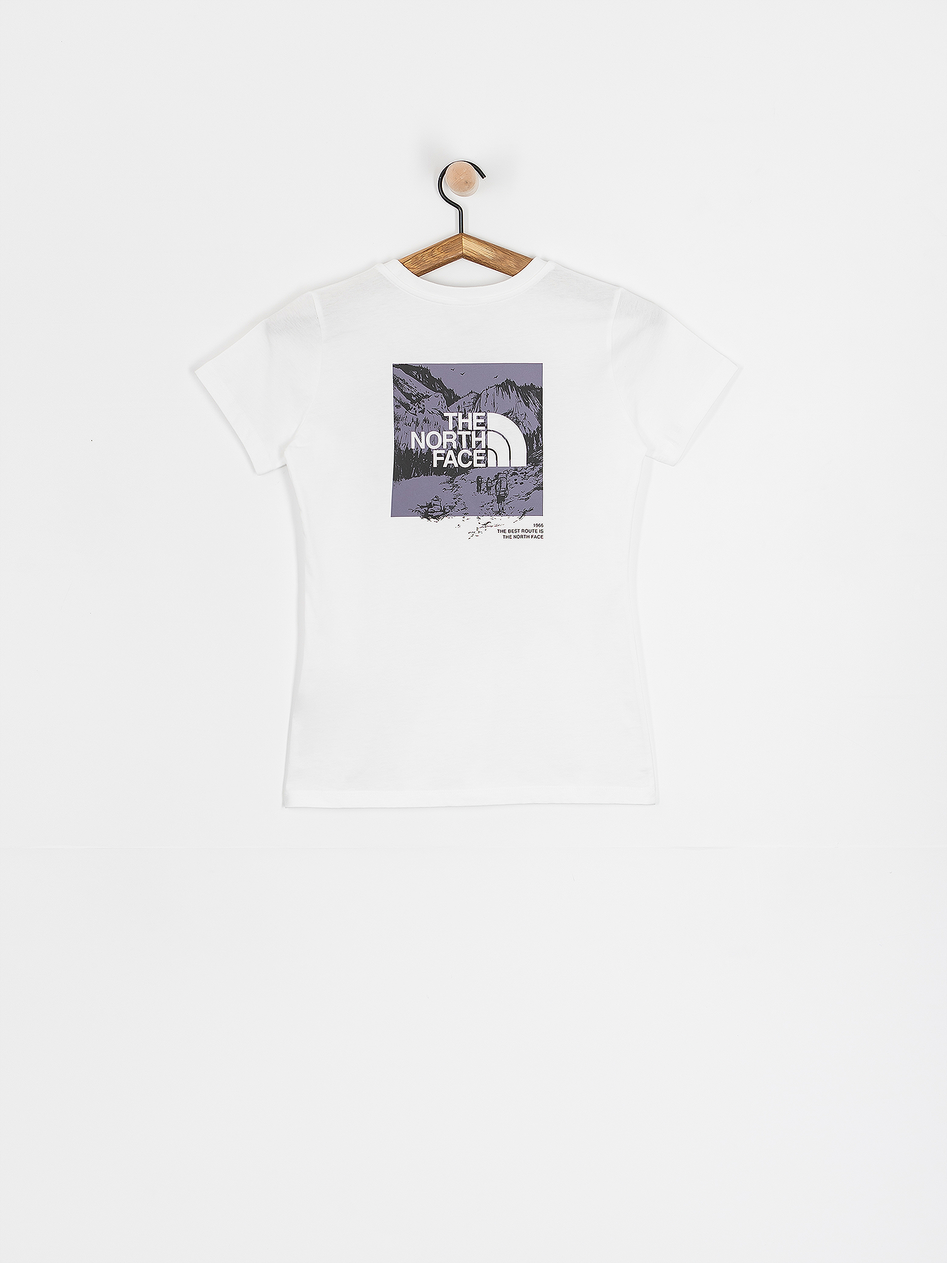 T-shirt The North Face Graphic Half Dome Wmn (tnf white/lunar slate)