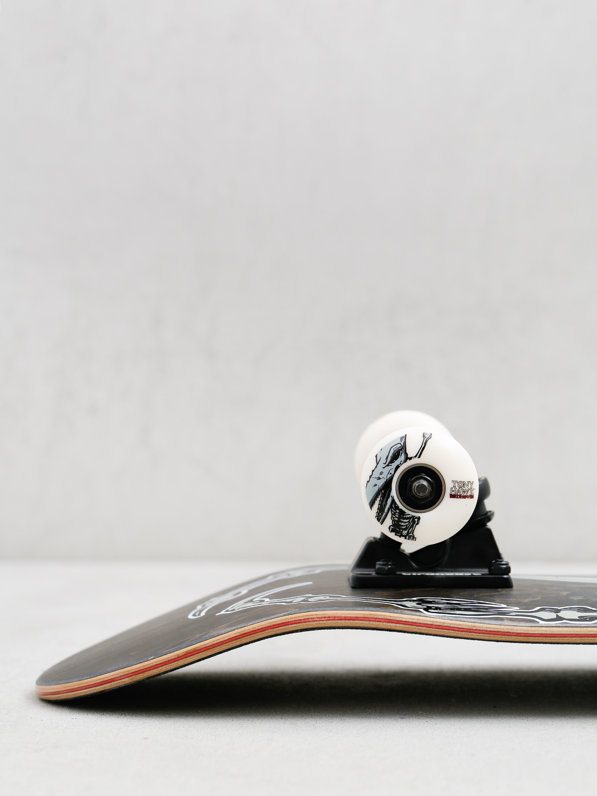 Deskorolka Birdhouse Hawk Pterodactyl (black)