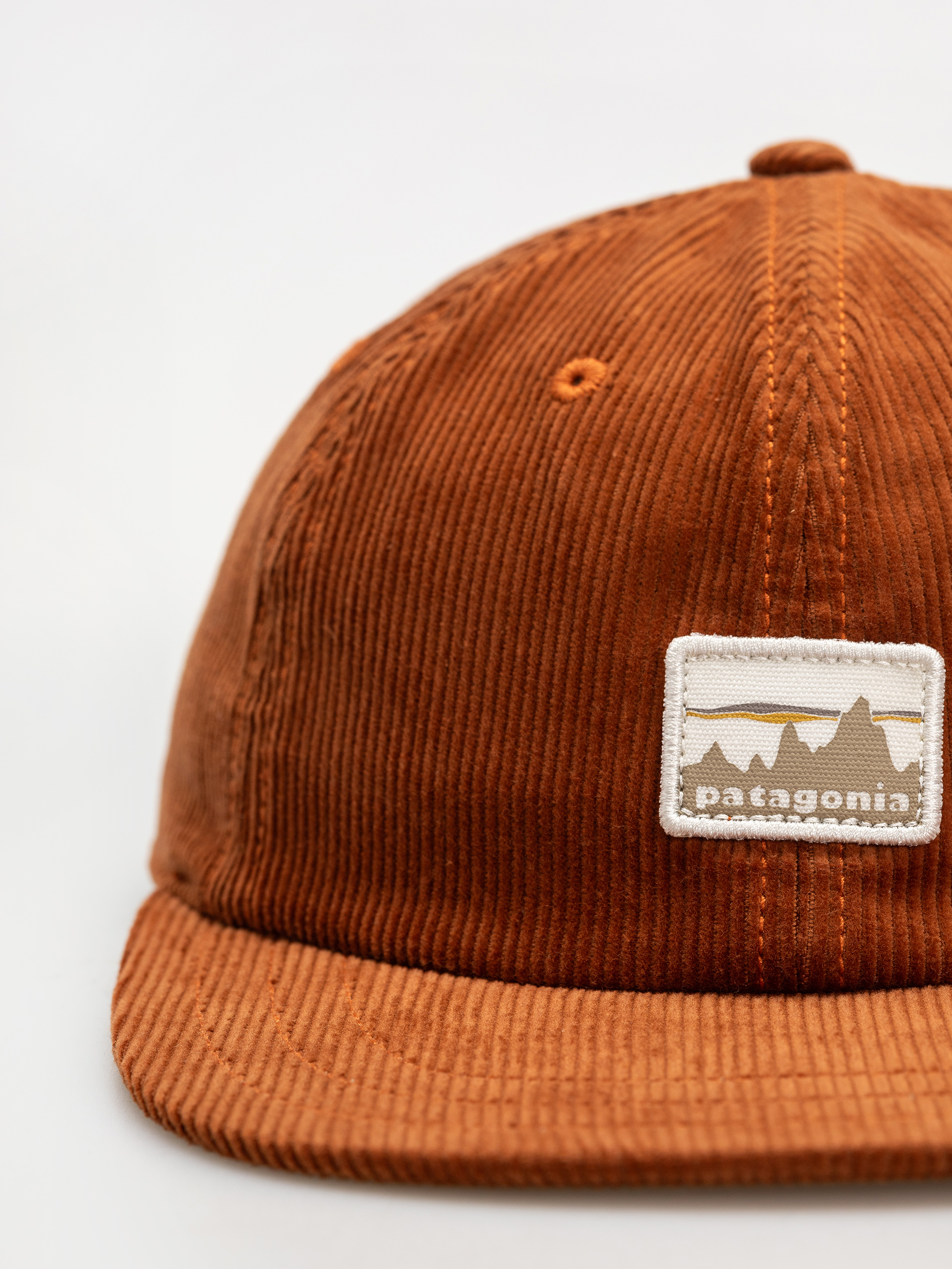 Czapka z daszkiem Patagonia Corduroy (73 skyline/robin brown)