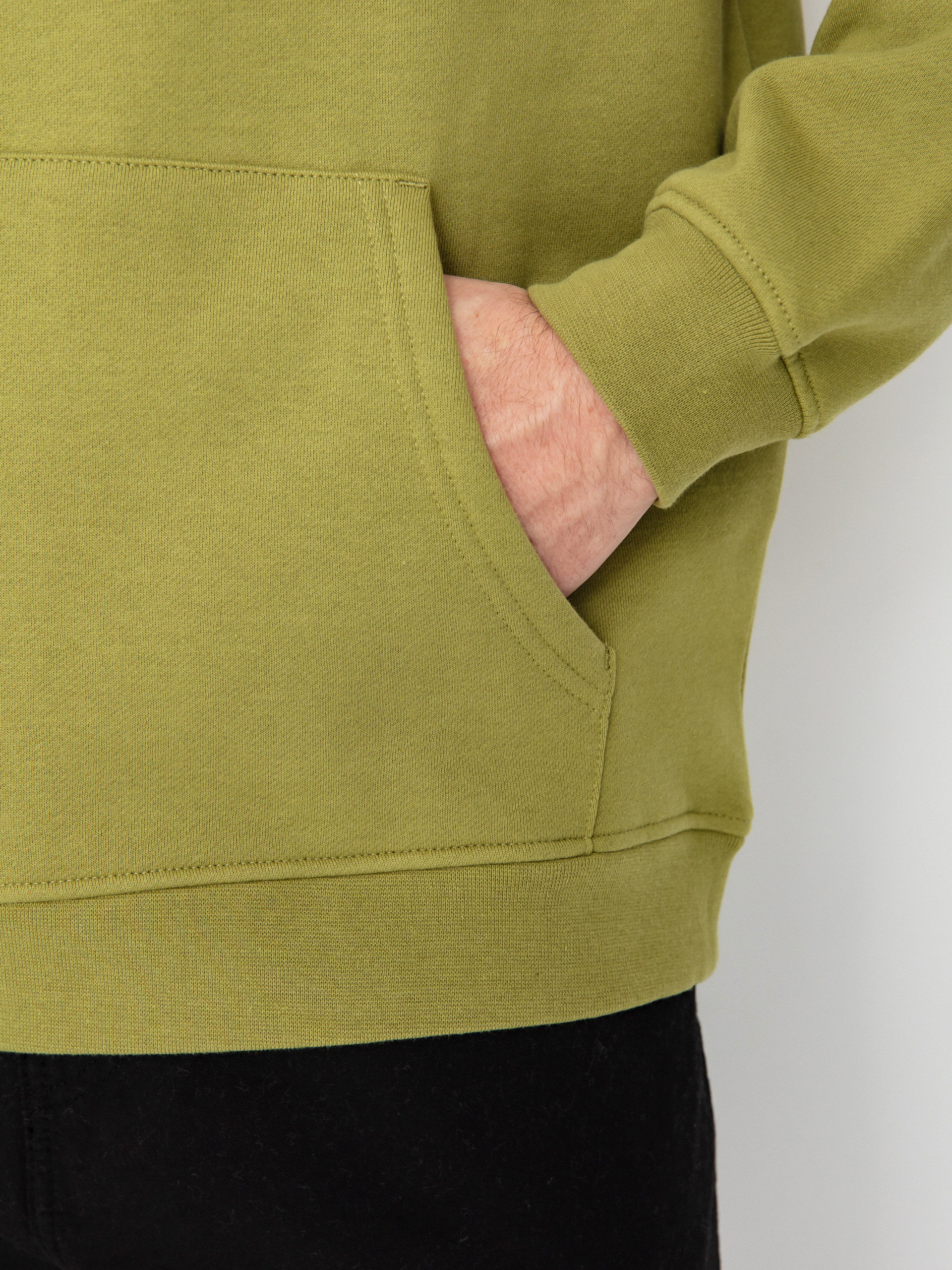 Bluza z kapturem Santa Cruz Screaming Grizzly HD (iguana)