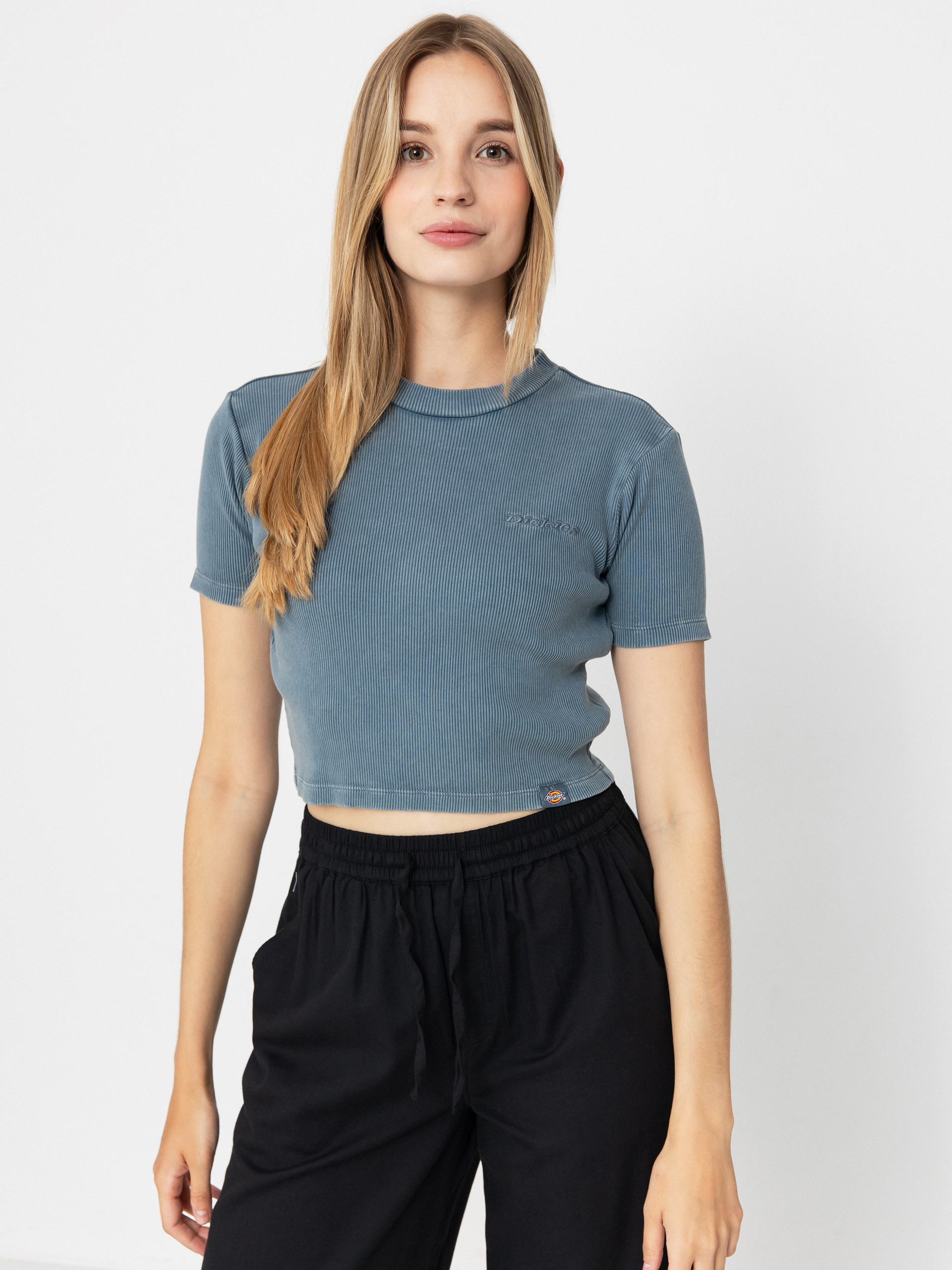 T-shirt Dickies Plentywood Wmn (stormy weather)