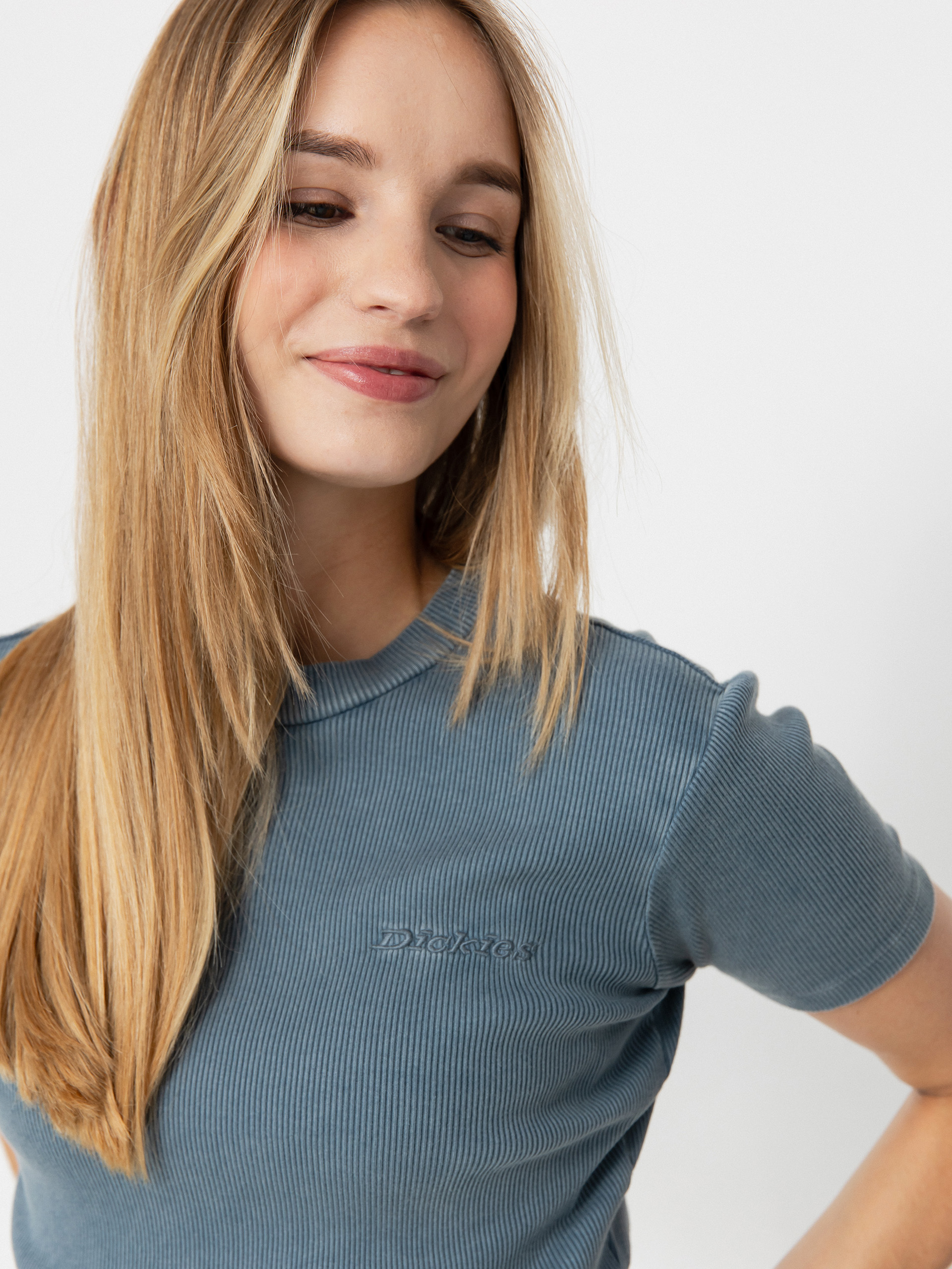 T-shirt Dickies Plentywood Wmn (stormy weather)