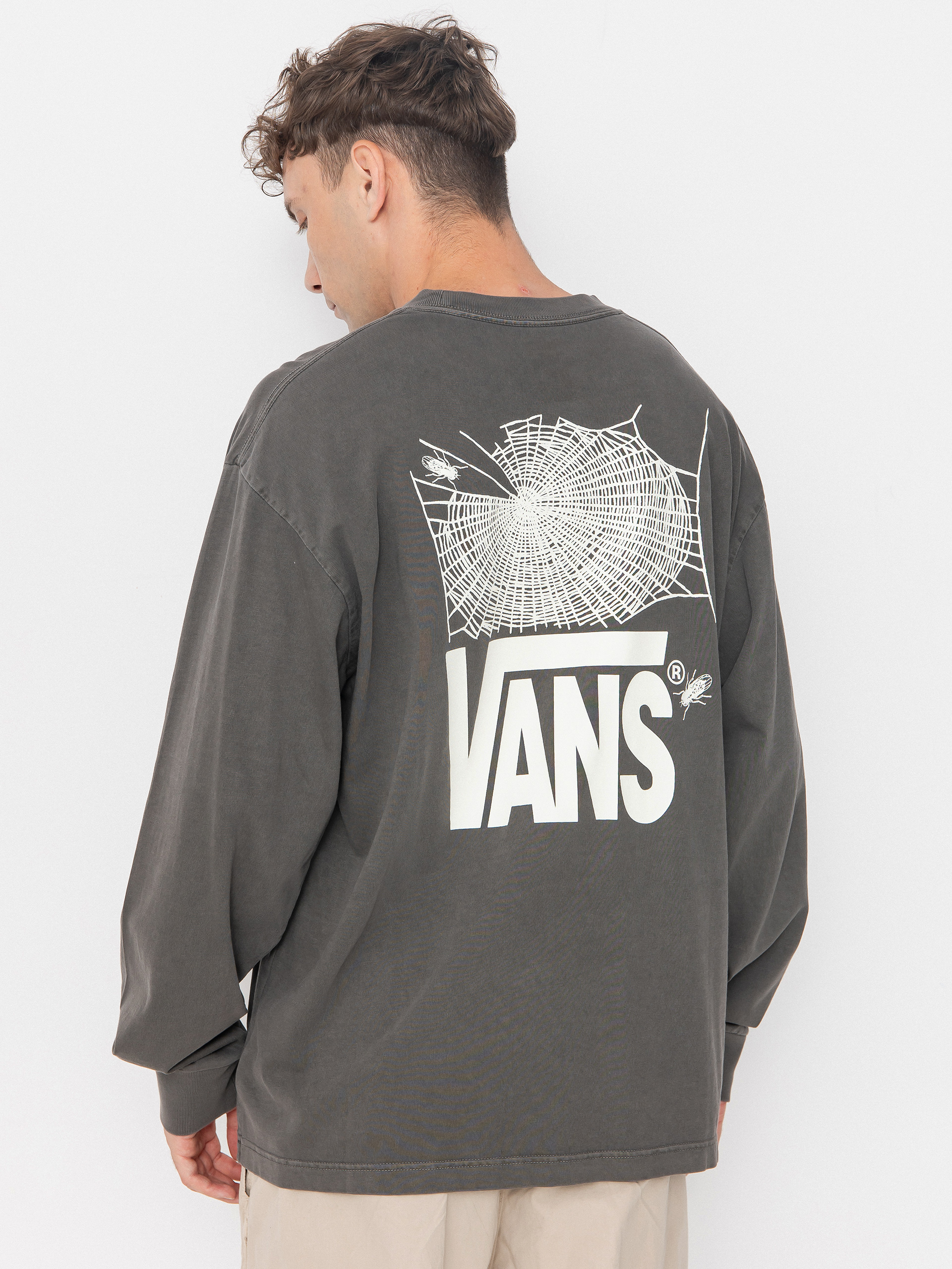 Longsleeve Vans Mte Fly In The Web (black)