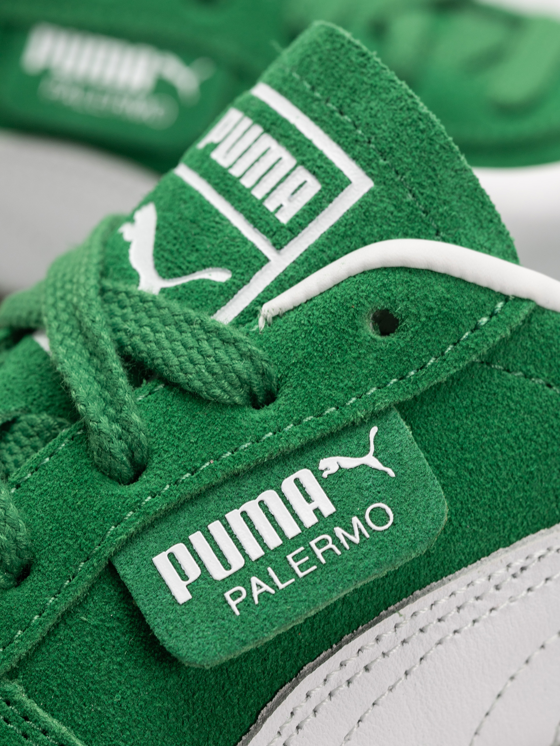 Buty Puma Palermo (archive green/puma white)