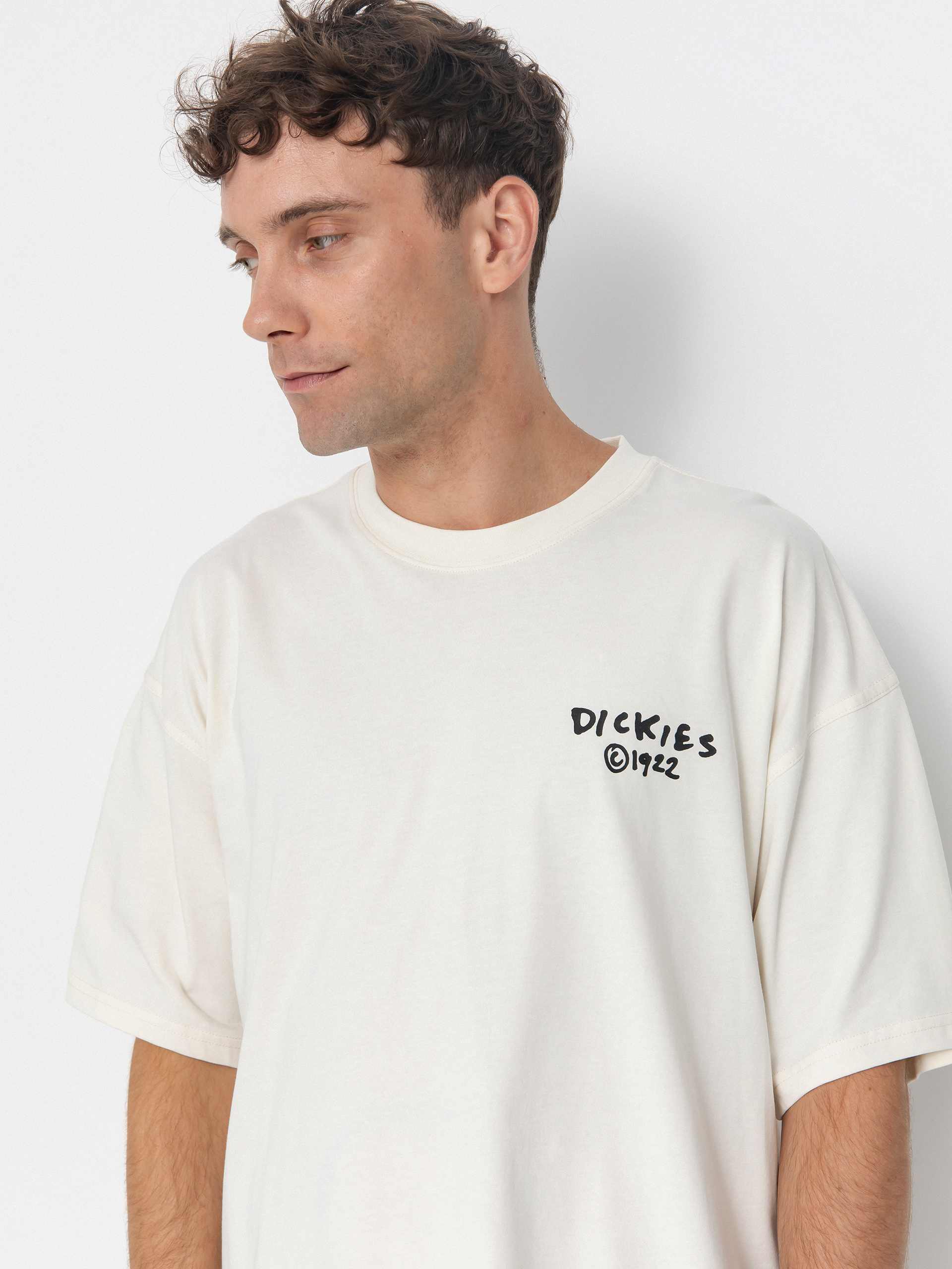 T-shirt Dickies Sneedville (egret)