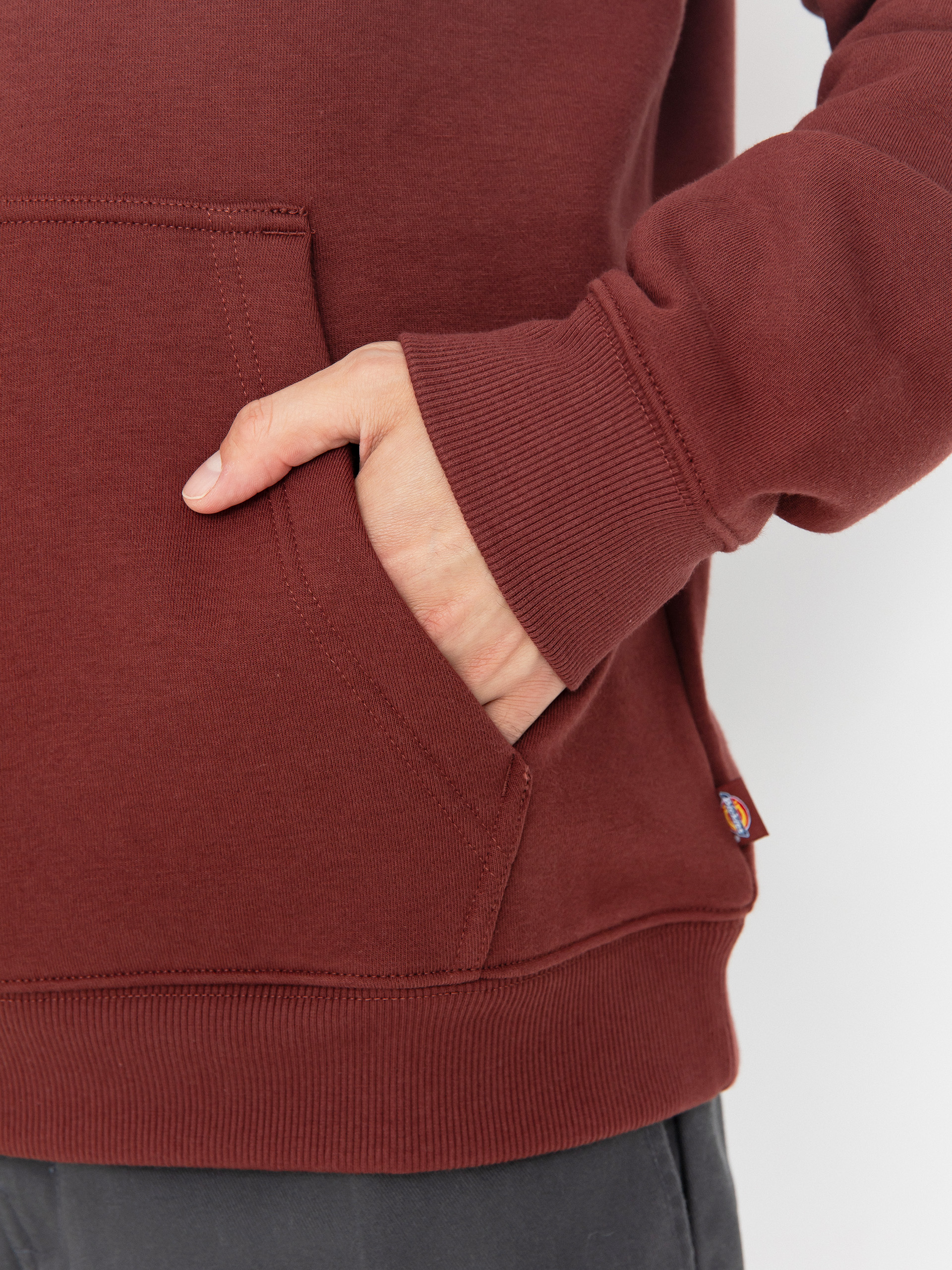 Bluza z kapturem Dickies Oakport HD (andorra)