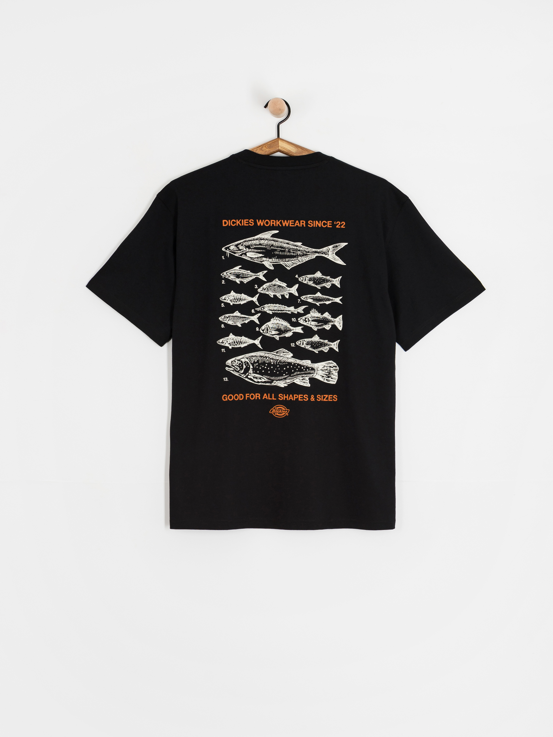 T-shirt Dickies Laryville (black)