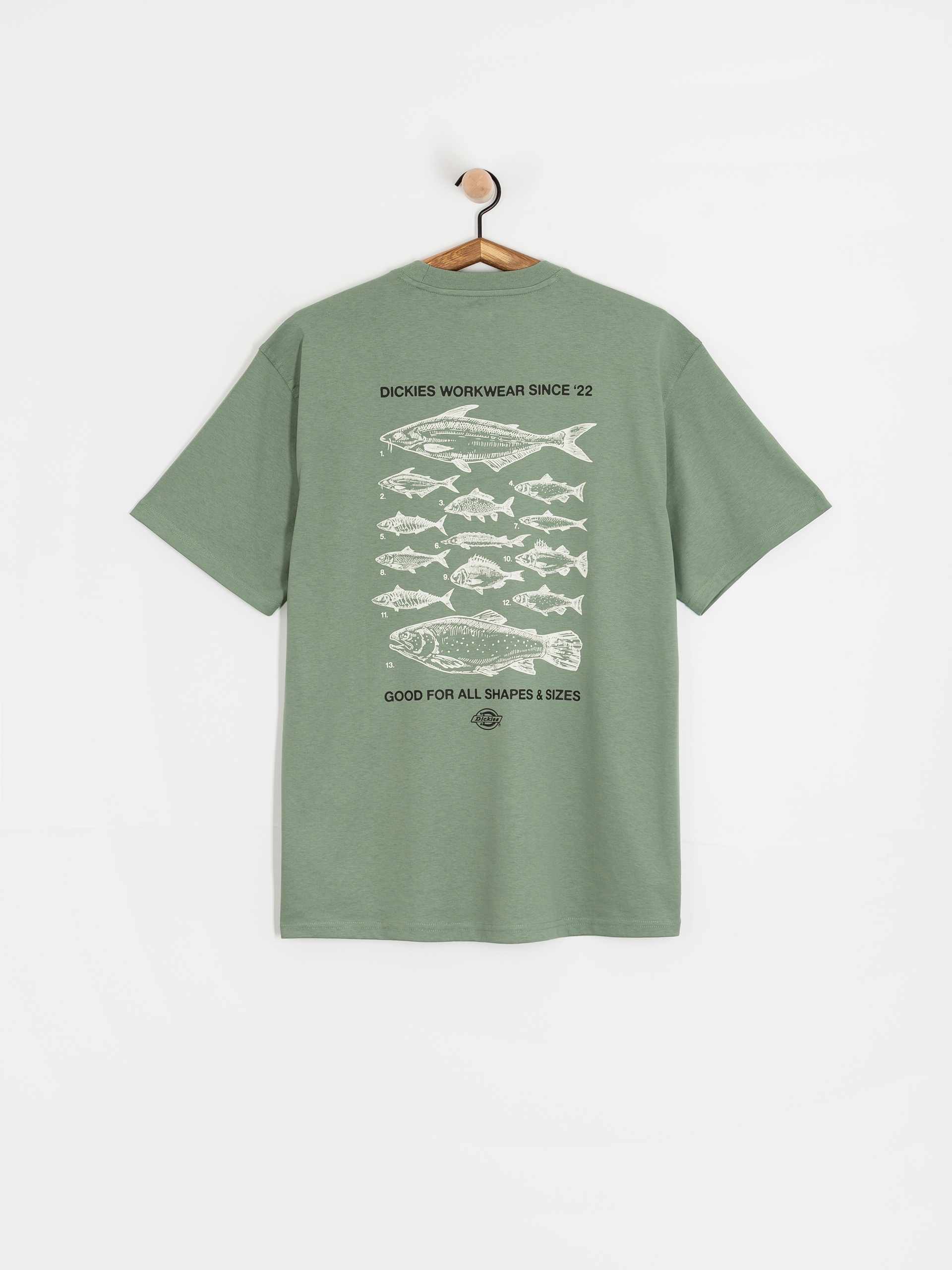T-shirt Dickies Laryville (sea spray)