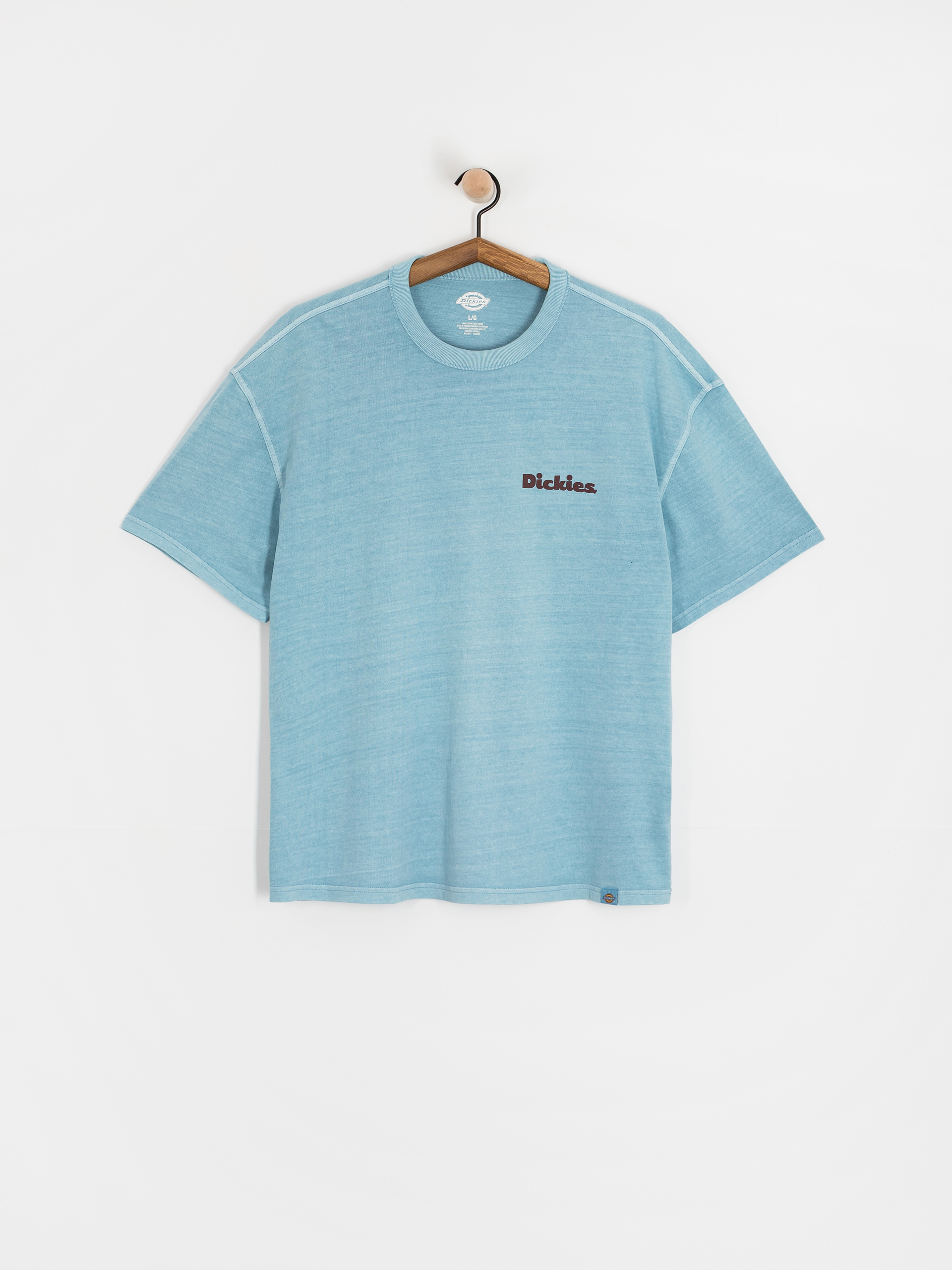 T-shirt Dickies Slayden (glacier lake)