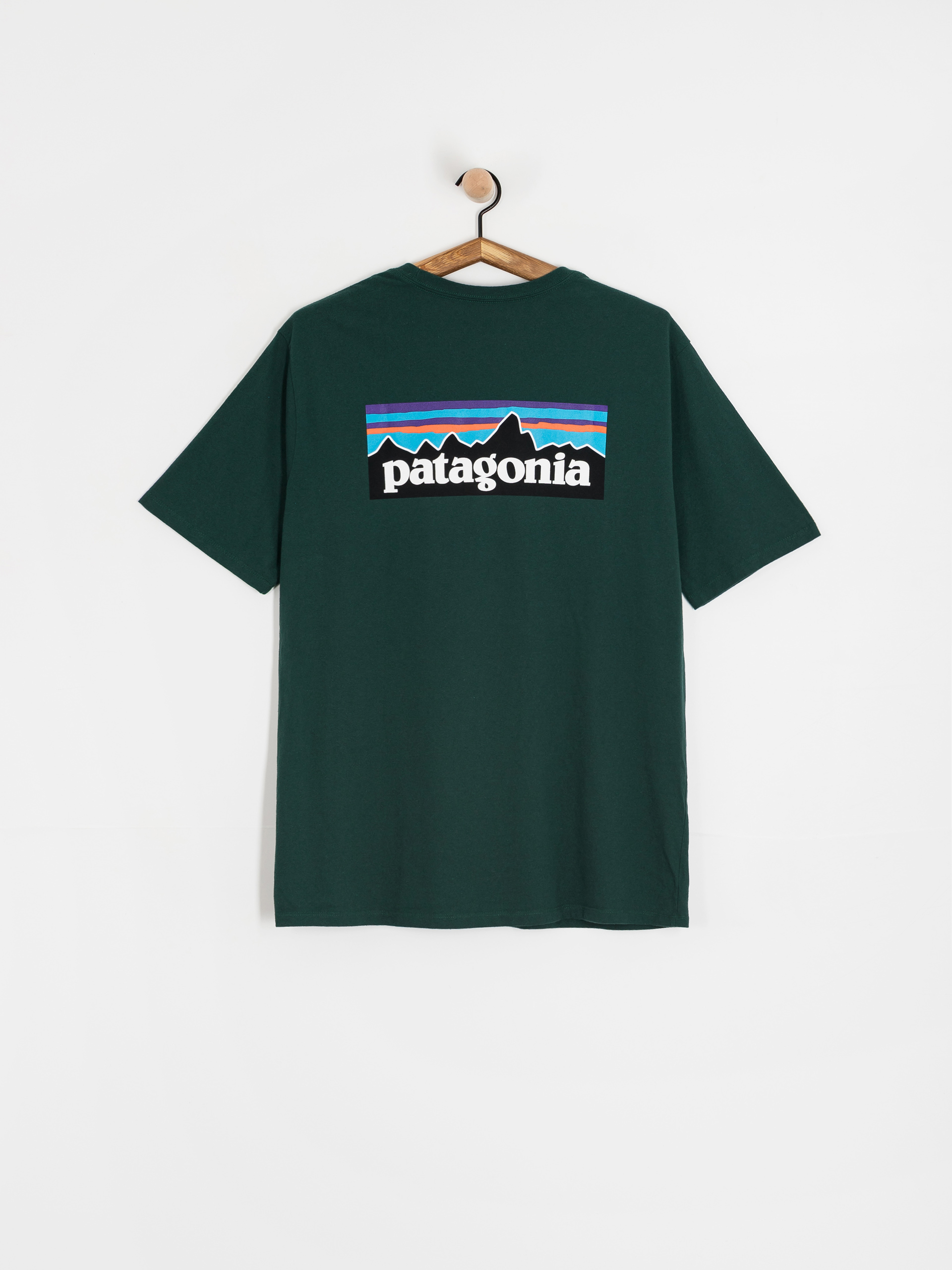 T-shirt Patagonia P 6 Logo Responsibili (cascade green)