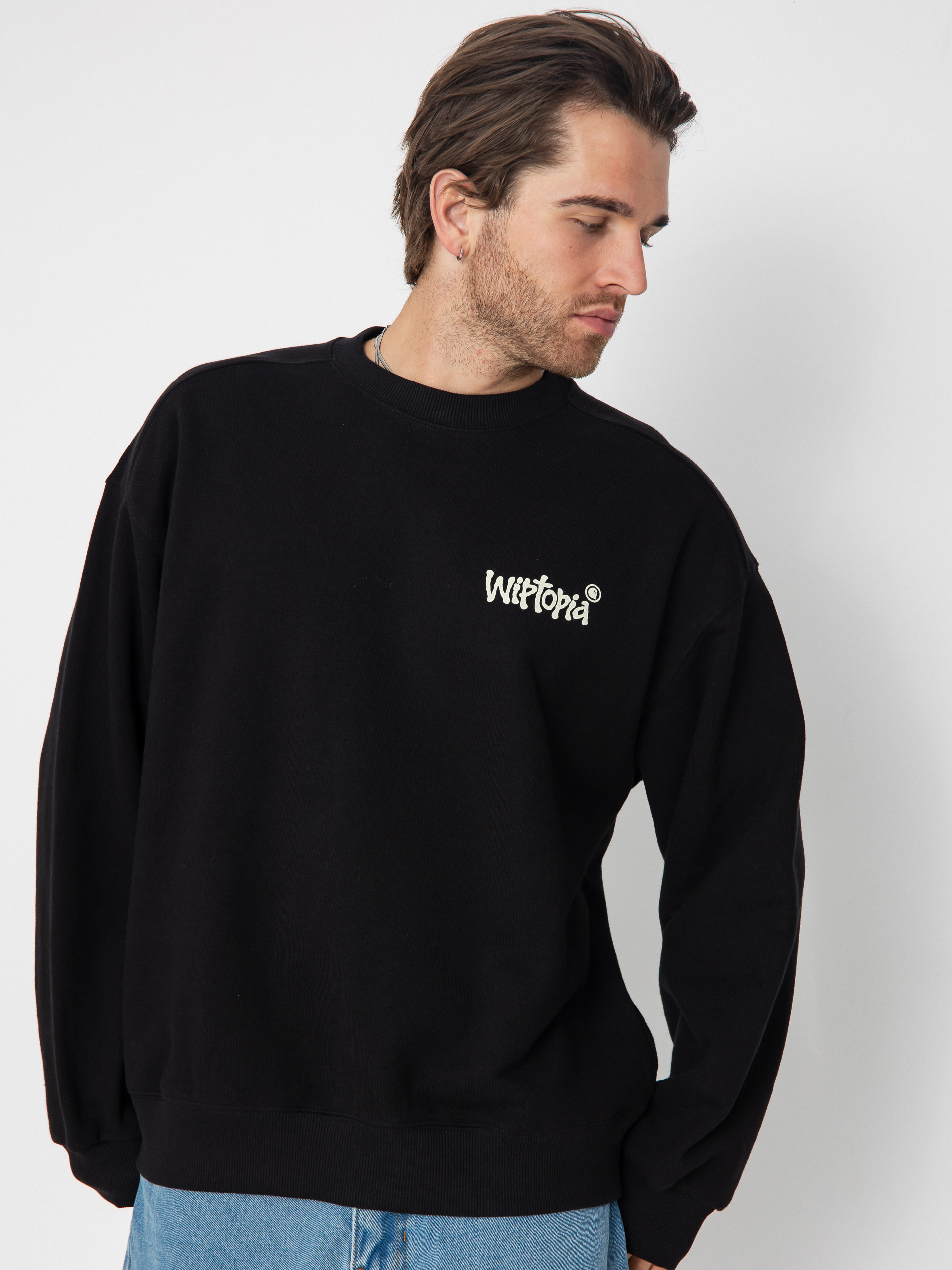 Bluza Carhartt WIP Wiptopia (black)