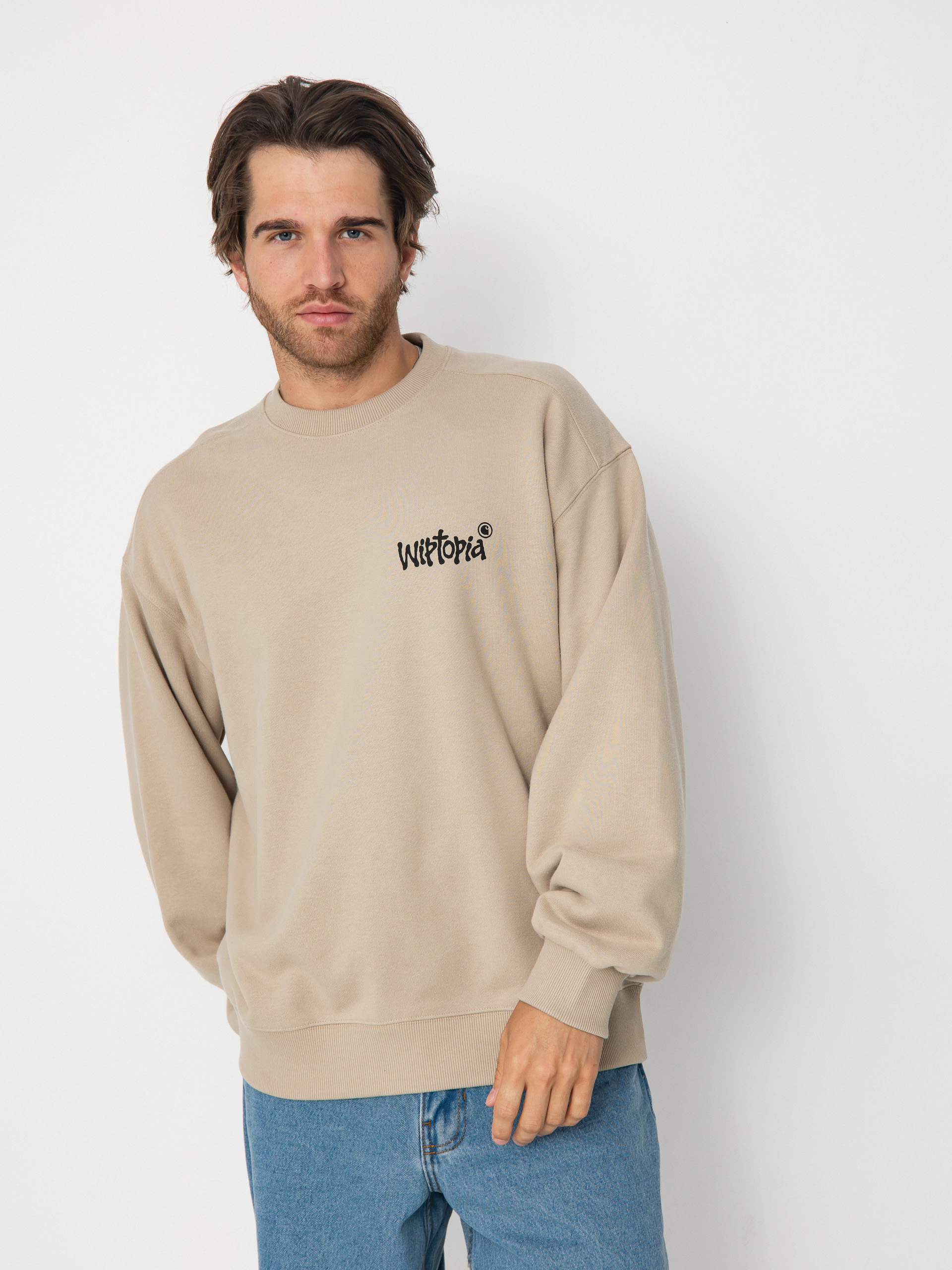 Bluza Carhartt WIP Wiptopia (wall)