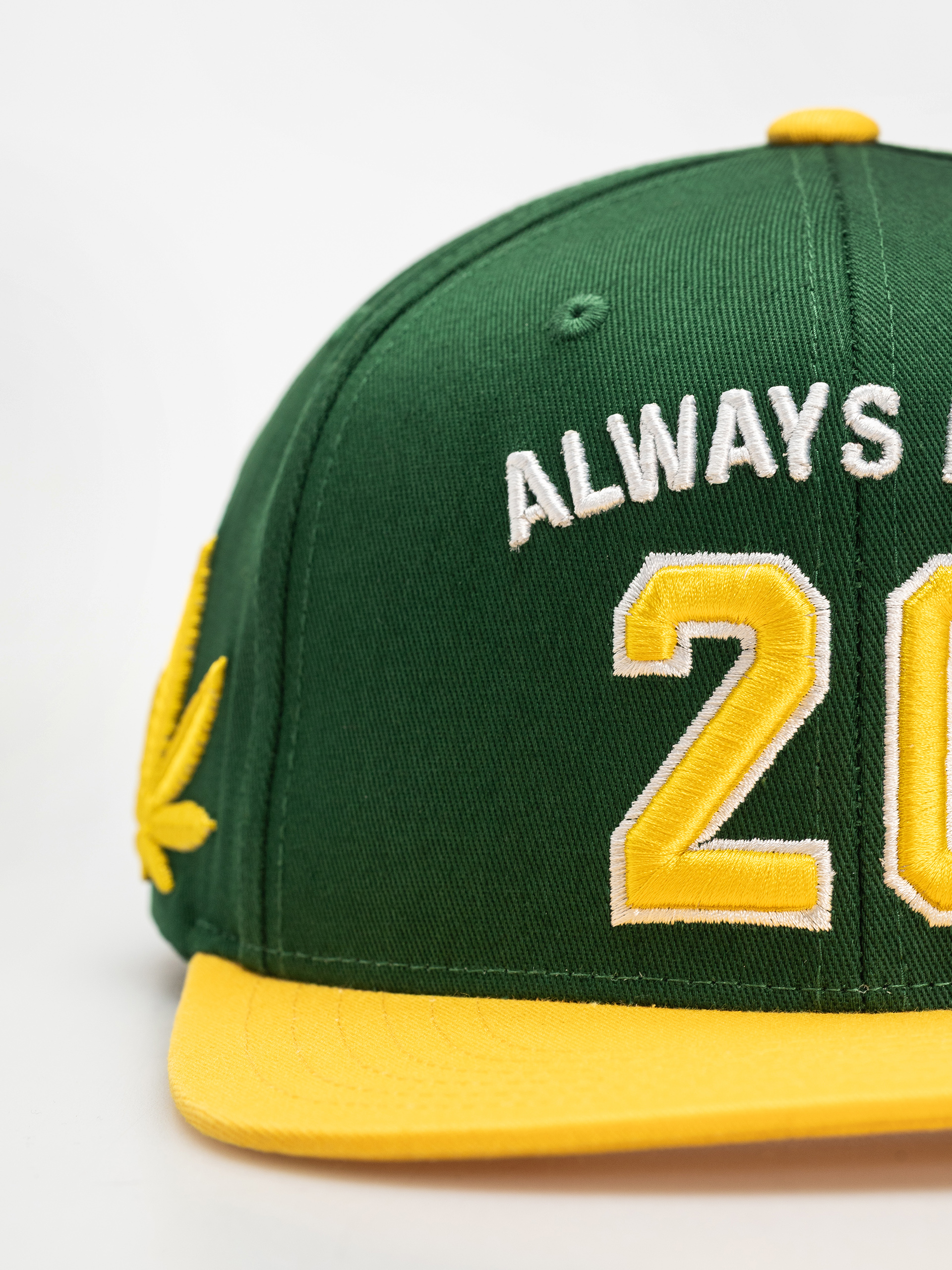 Czapka z daszkiem DGK Team Indica Snap (green)