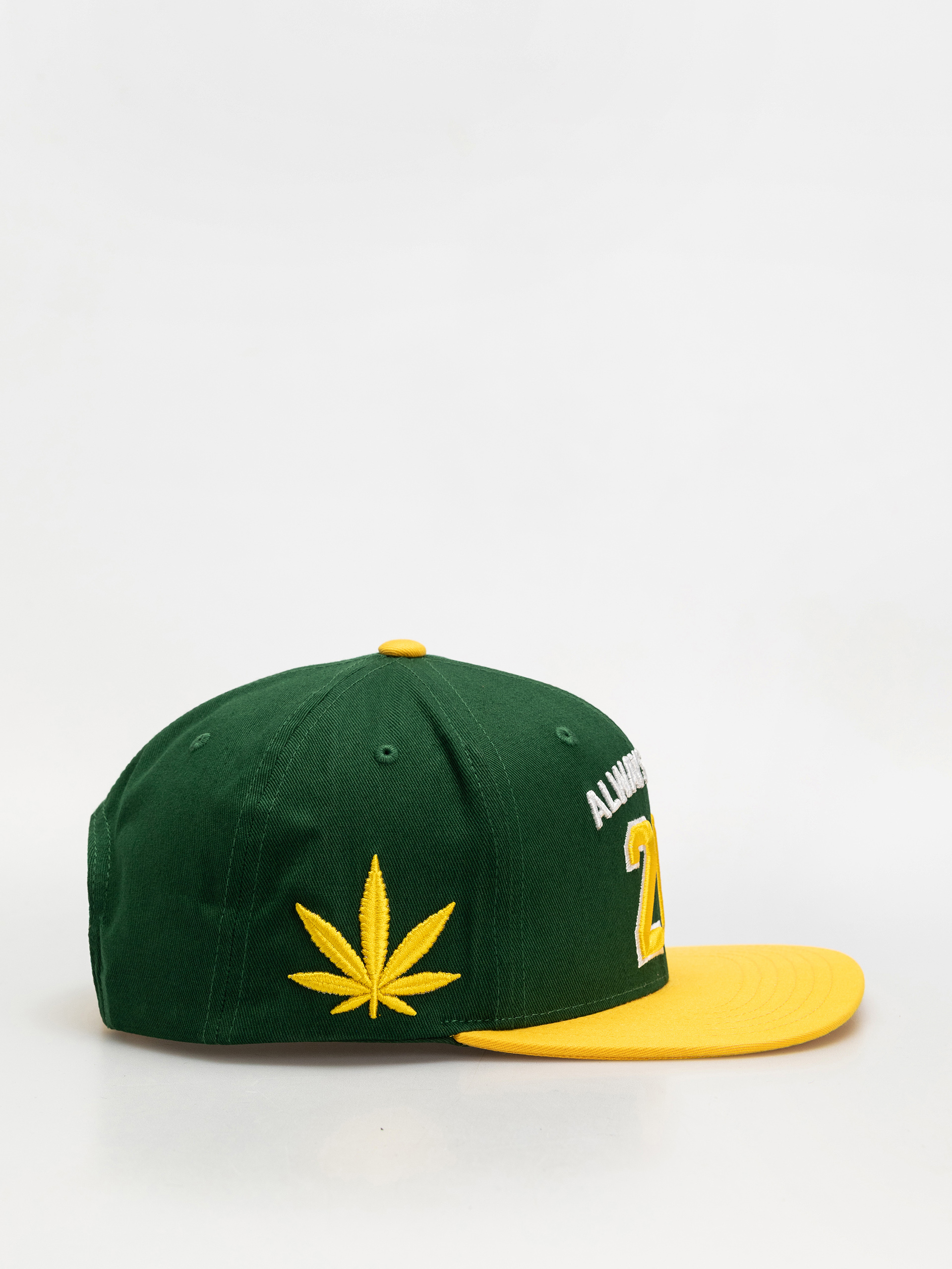 Czapka z daszkiem DGK Team Indica Snap (green)