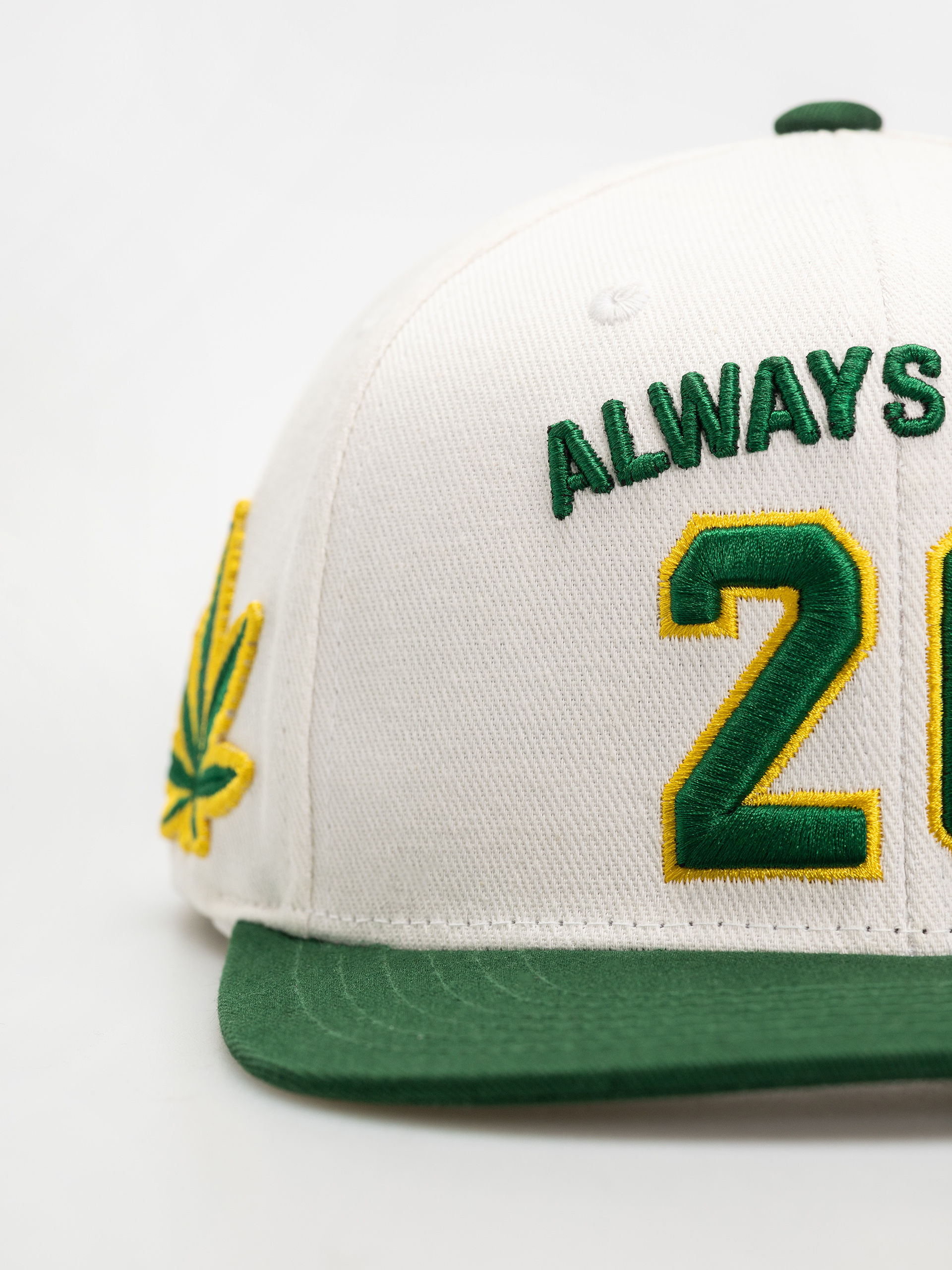 Czapka z daszkiem DGK Team Indica Snap (white)