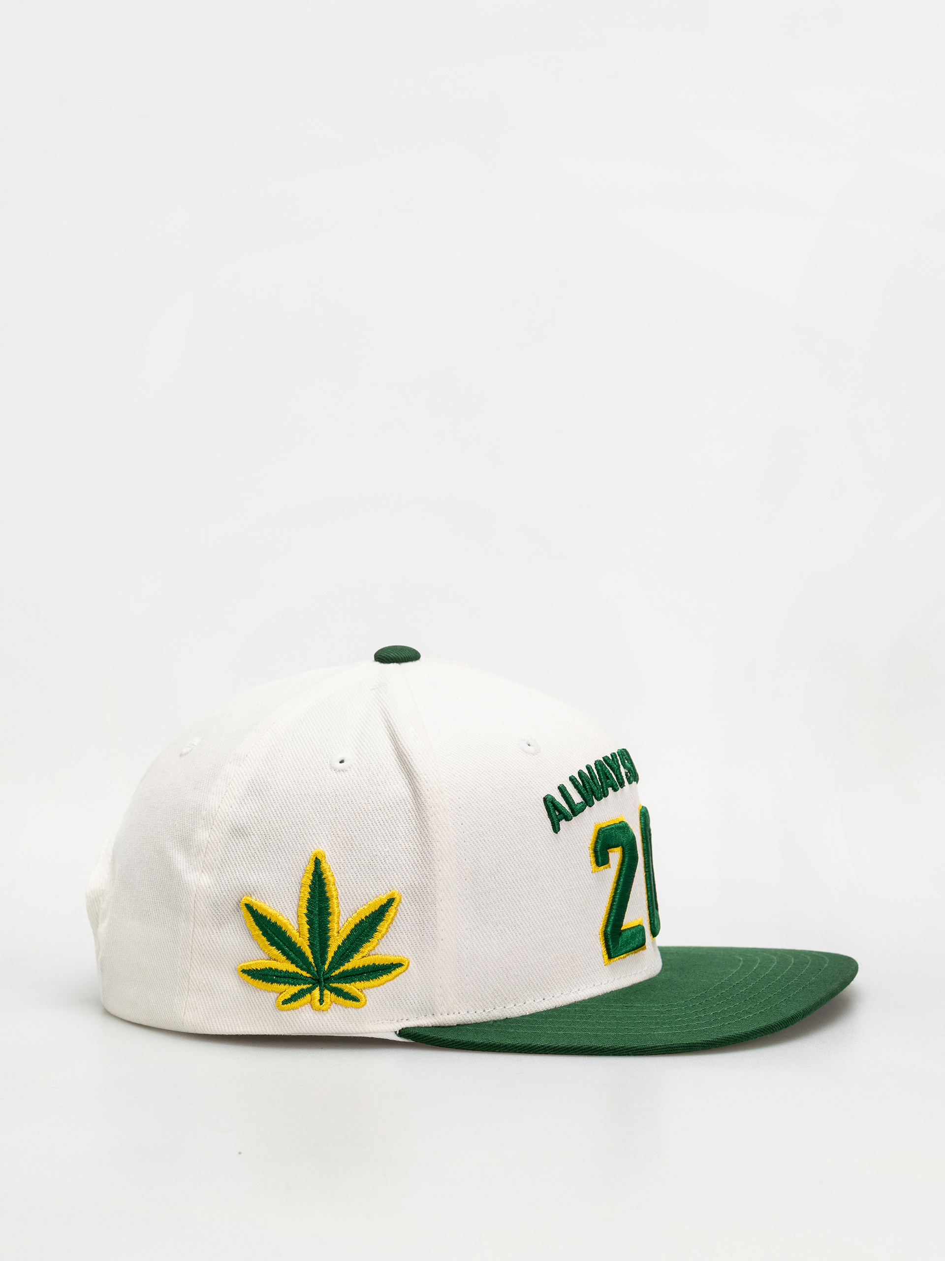 Czapka z daszkiem DGK Team Indica Snap (white)