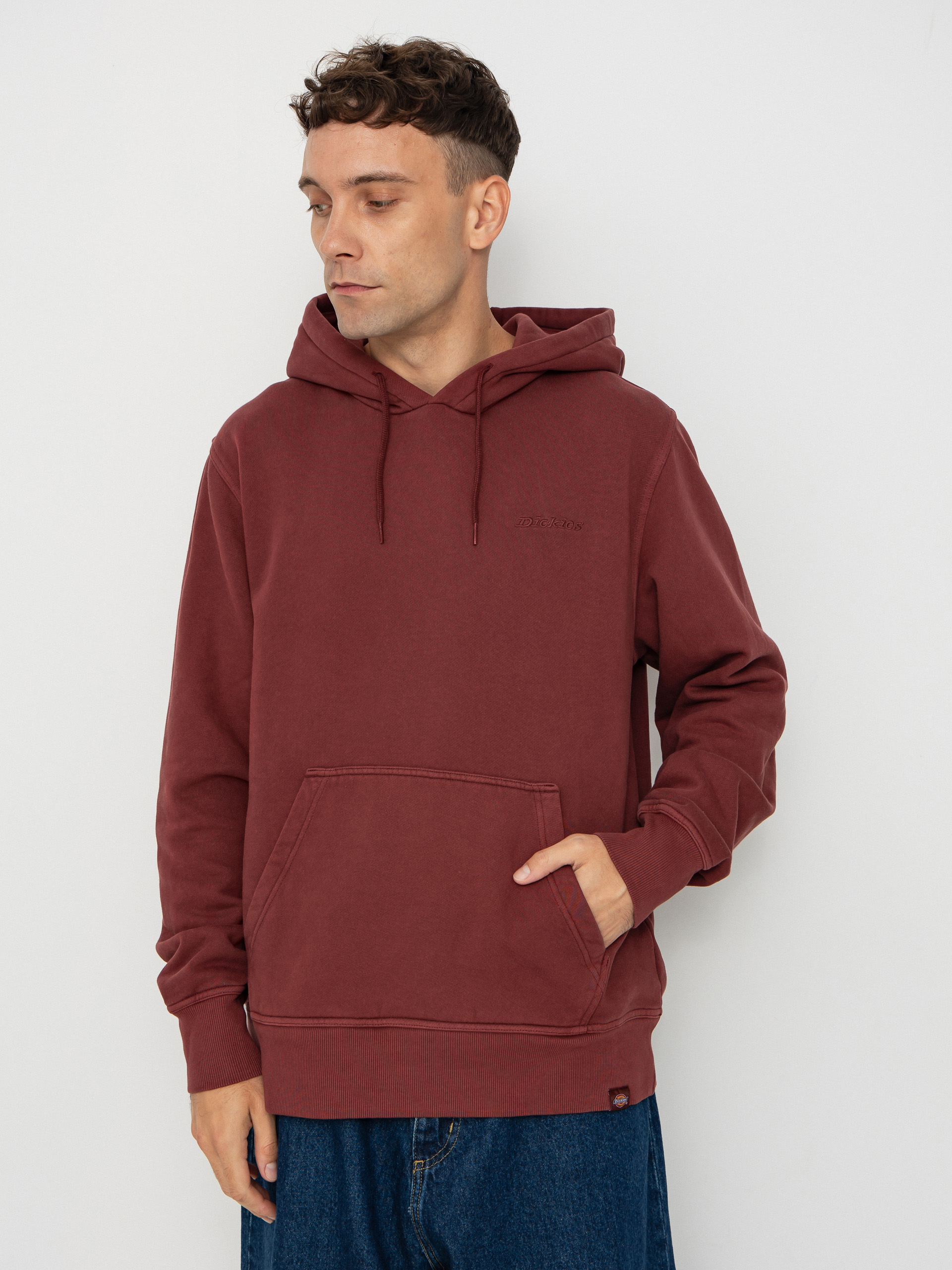 Bluza z kapturem Dickies Plentywood HD (andorra)