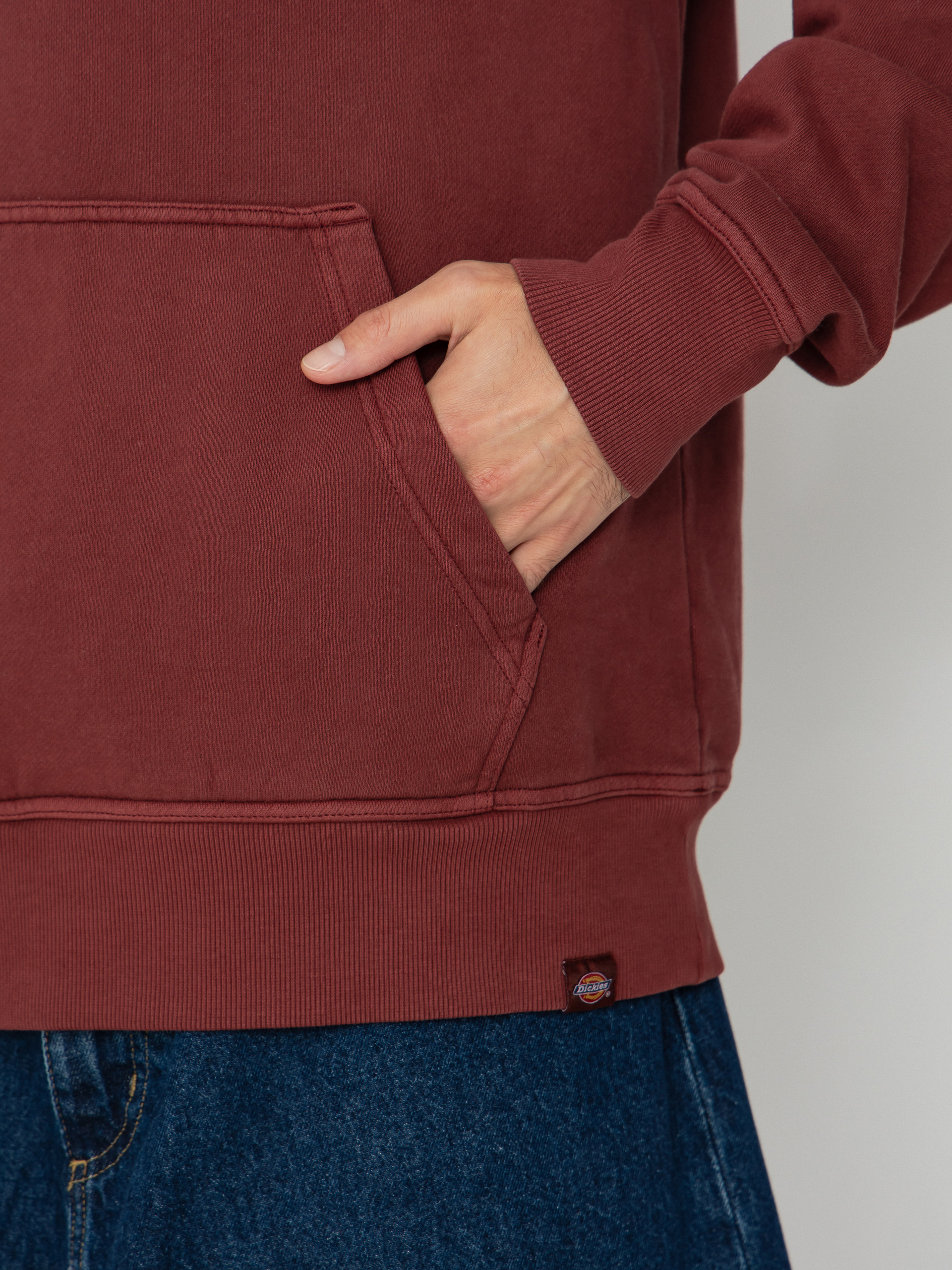 Bluza z kapturem Dickies Plentywood HD (andorra)