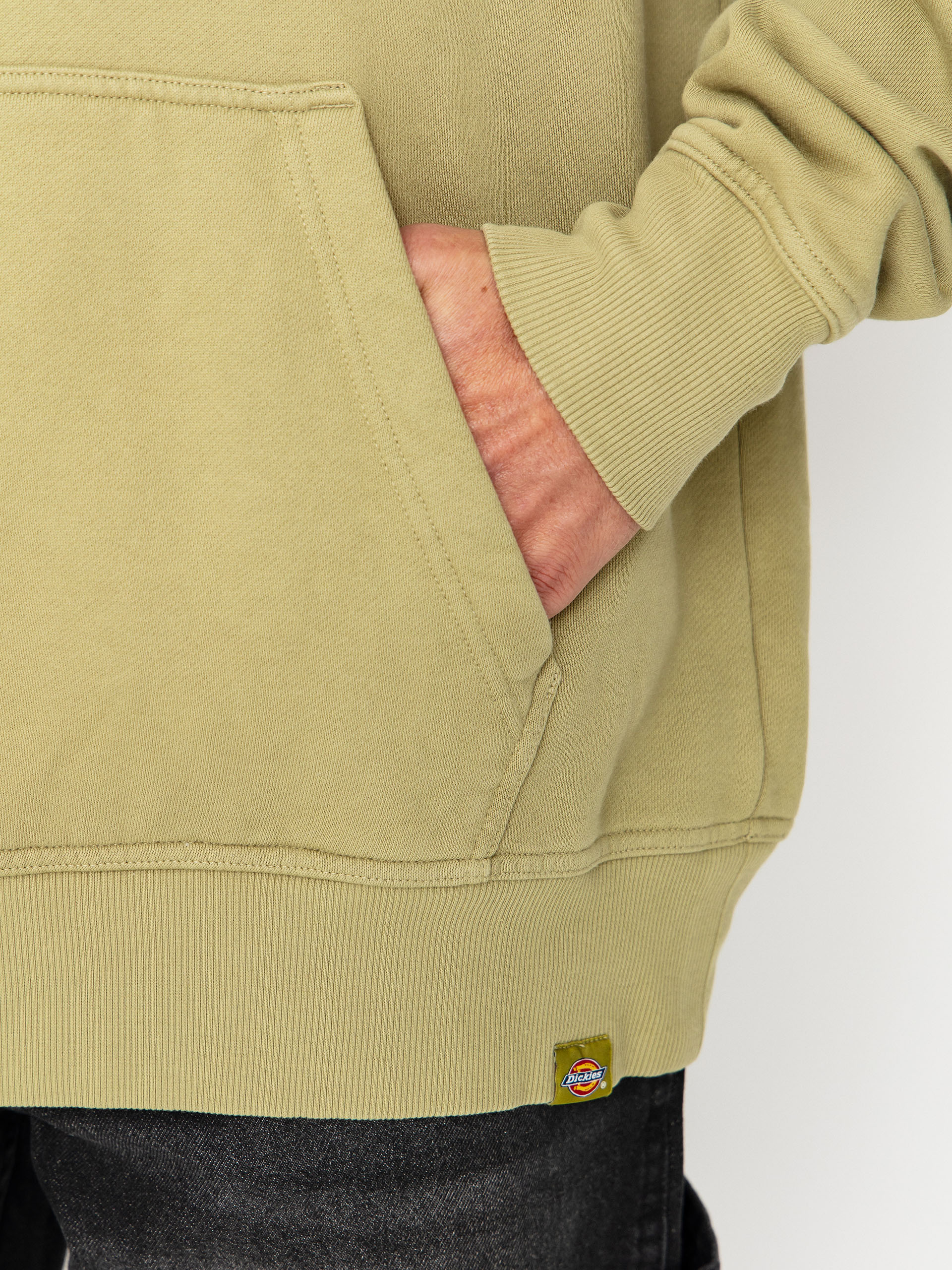 Bluza z kapturem Dickies Plentywood HD (evergreen sprig)