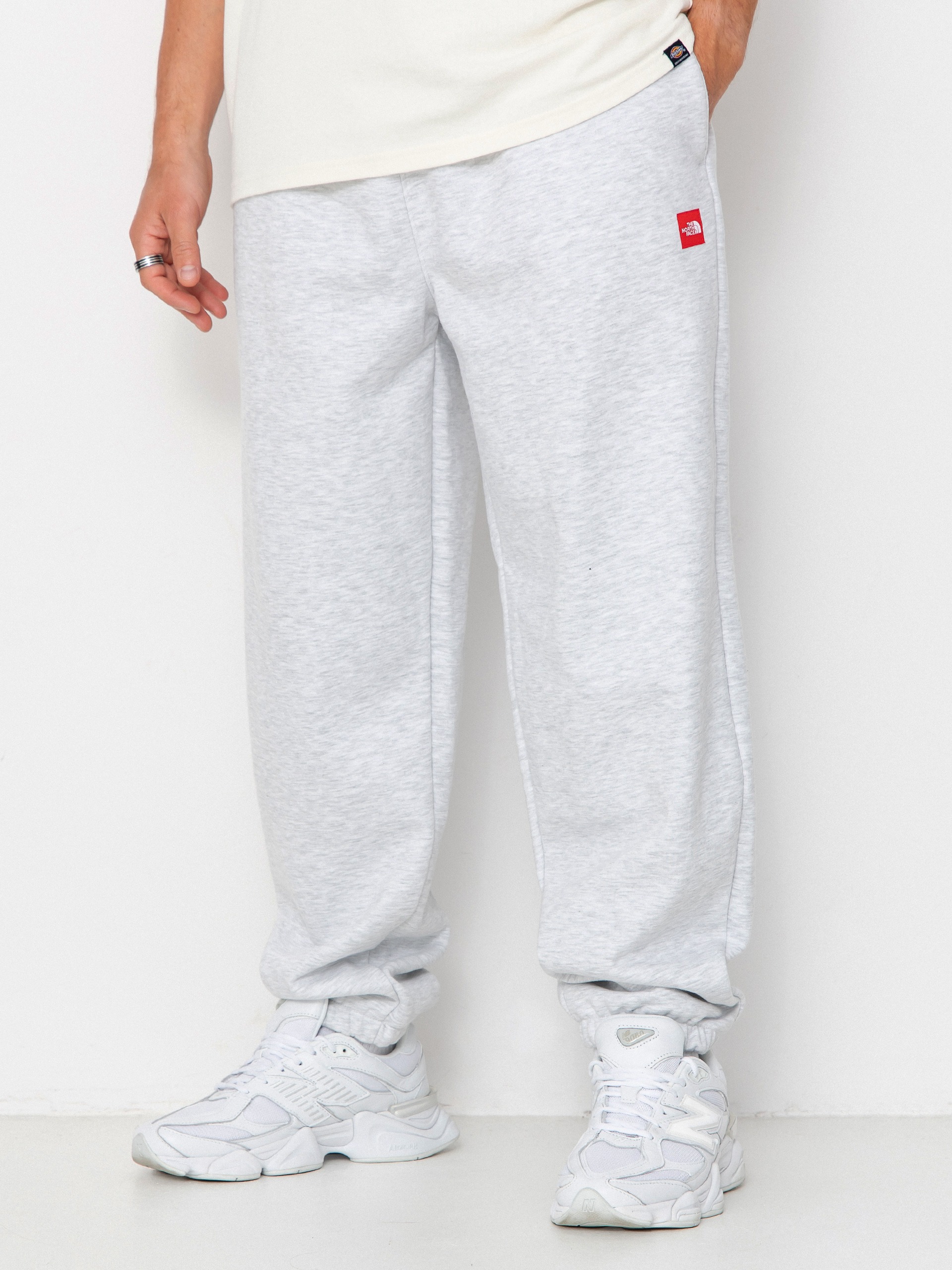 Spodnie The North Face Red Box (tnf classic grey heathe)