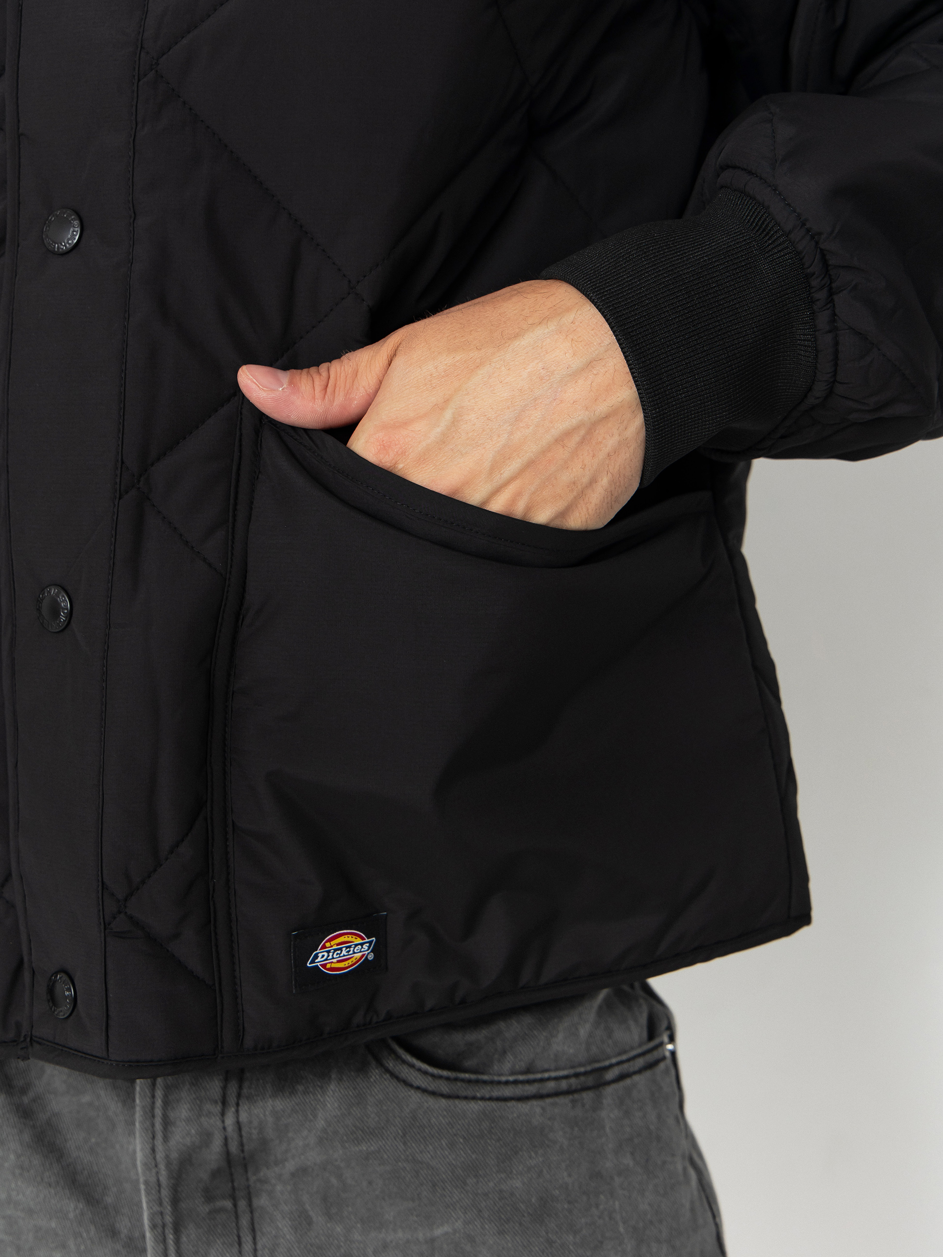 Kurtka Dickies Samburg Liner (black)