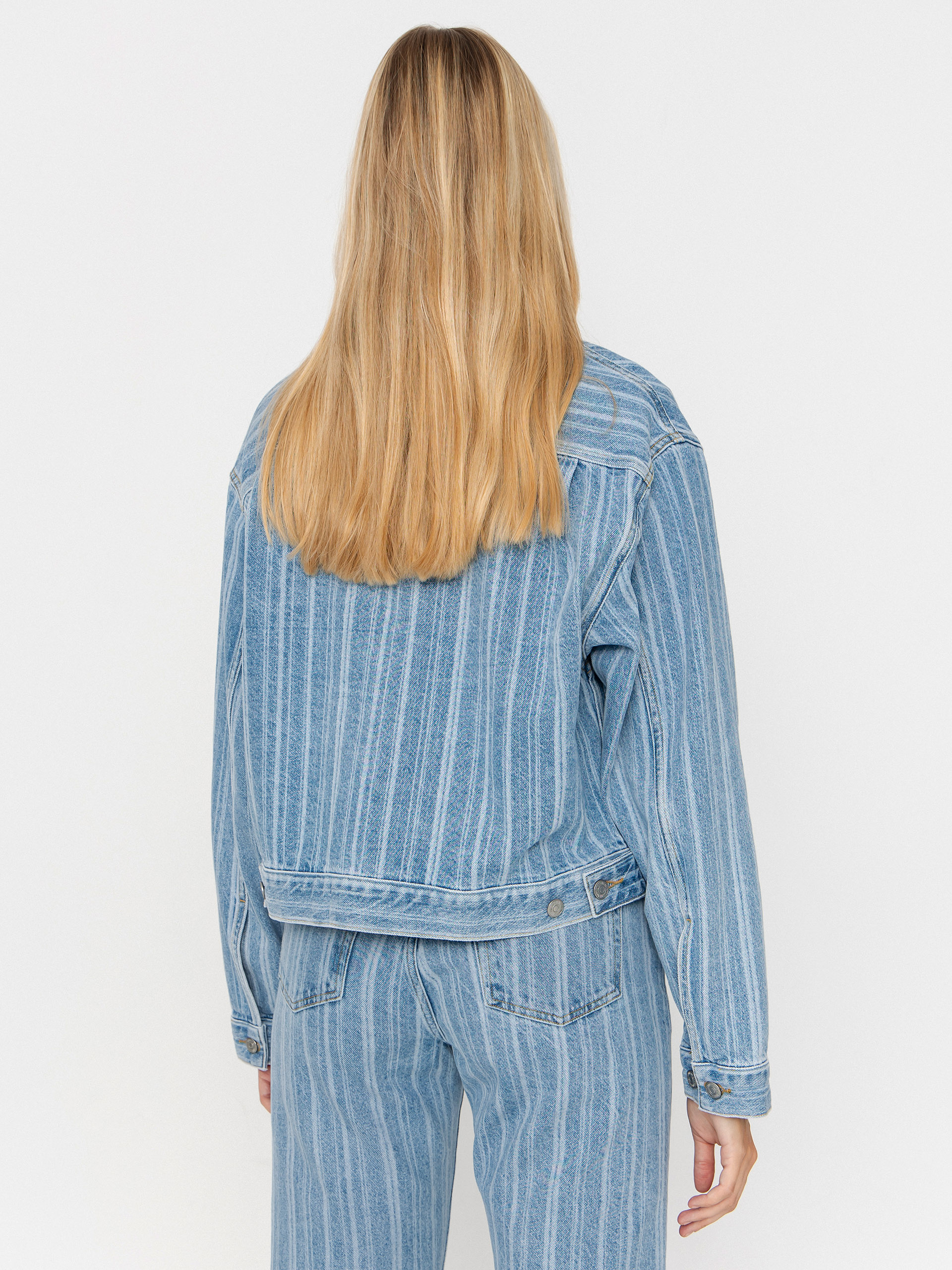 Spodnie Carhartt WIP Rylan Wmn (rylan stripe/blue/stone bleached)